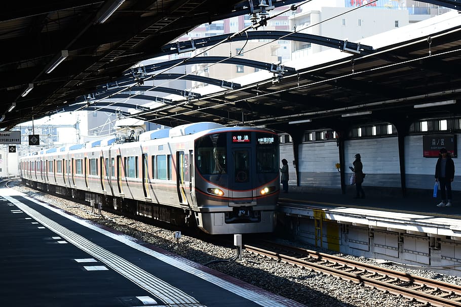 Public train japan