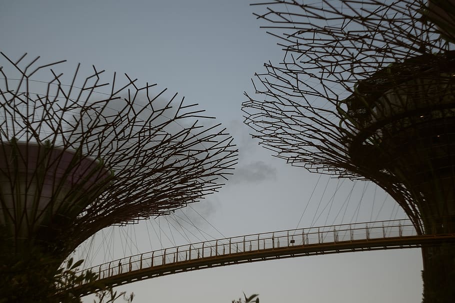 HD Wallpaper Singapore Gardens By The Bay Super Tree Urban Asia