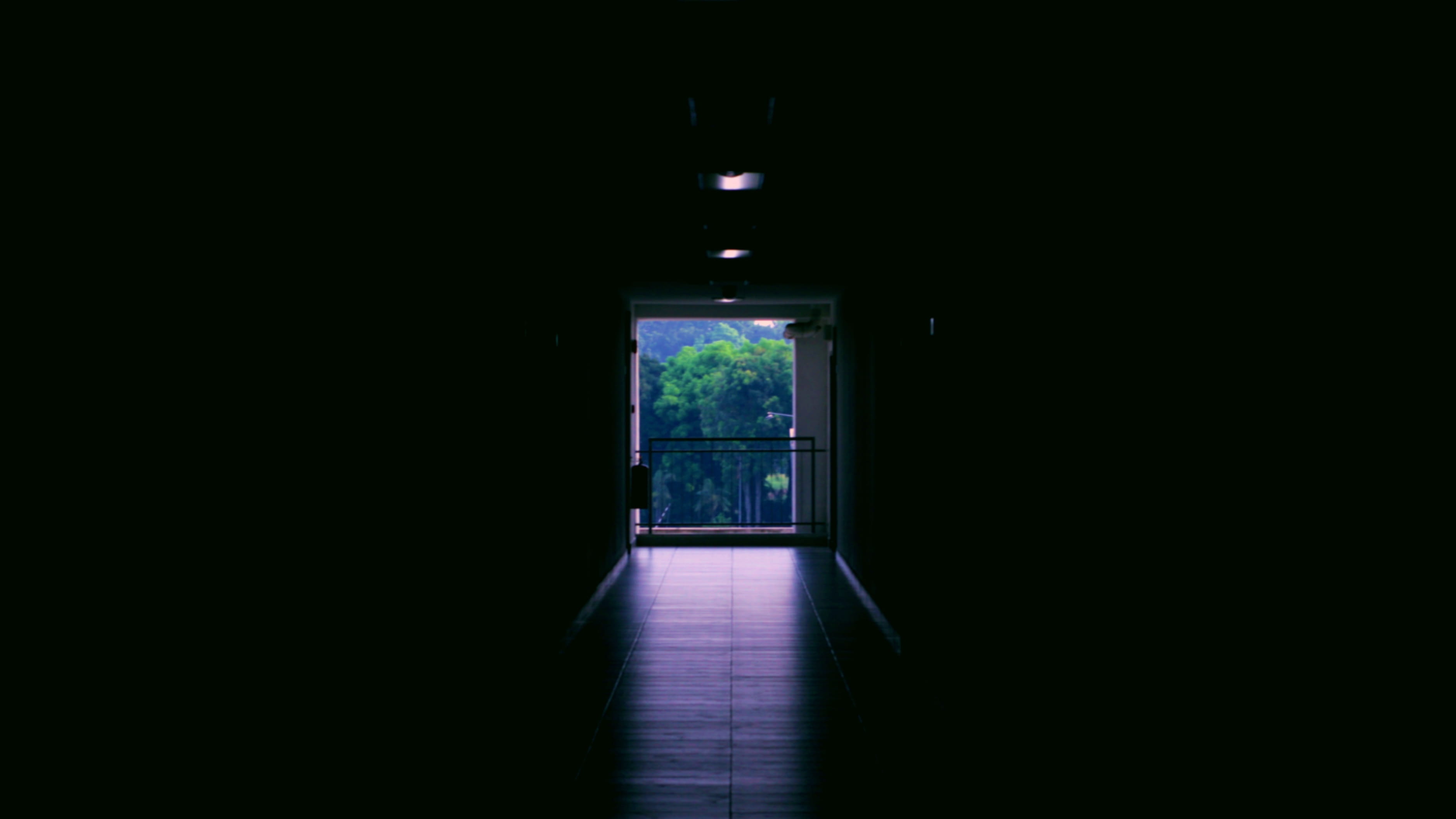 tree, trees, gate, way, gateway, exit, only way, light, the light