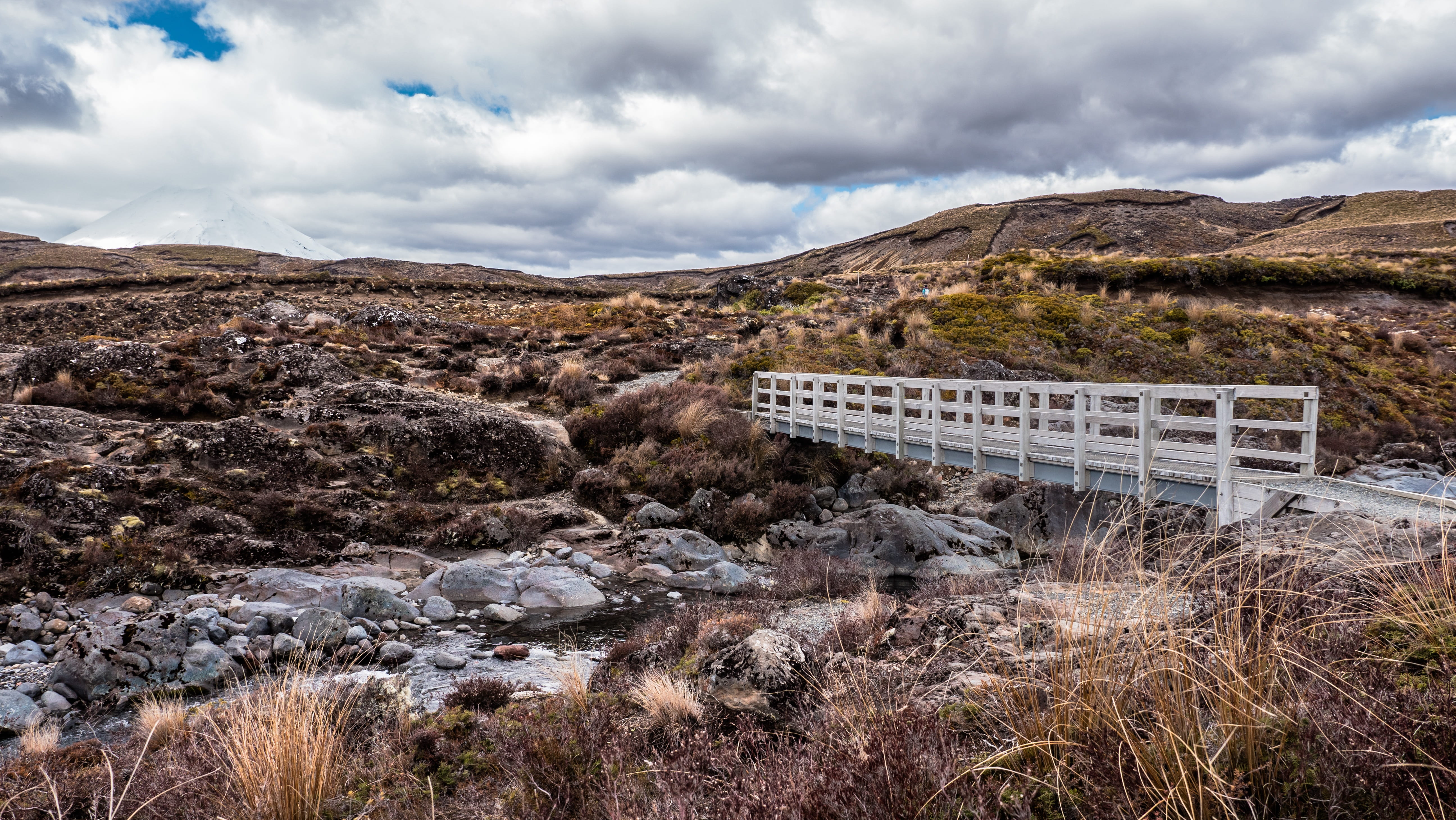 bridge, construction, route, path, pathway, nature, landscape