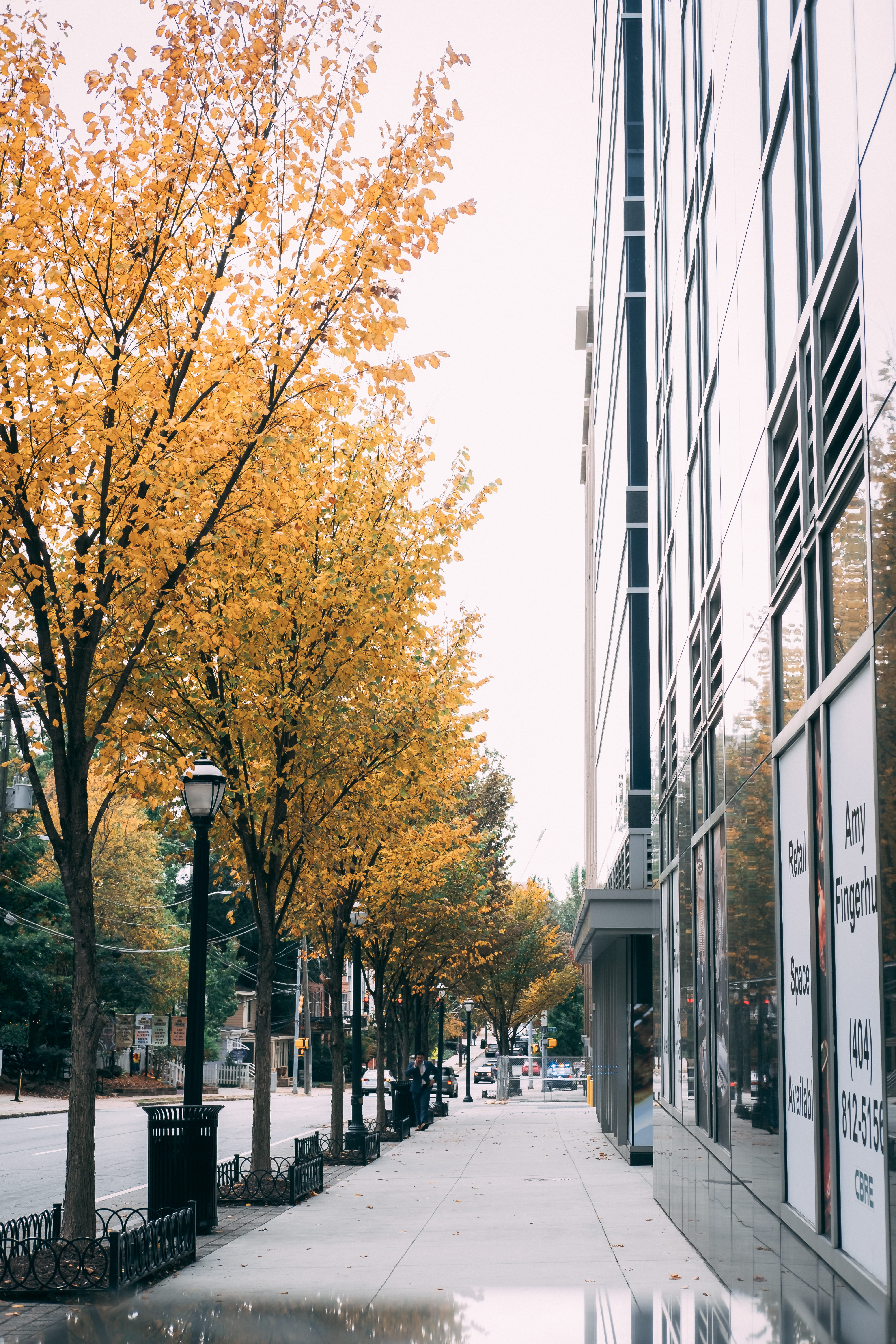 empty pathway, tree, building exterior, plant, architecture, built structure