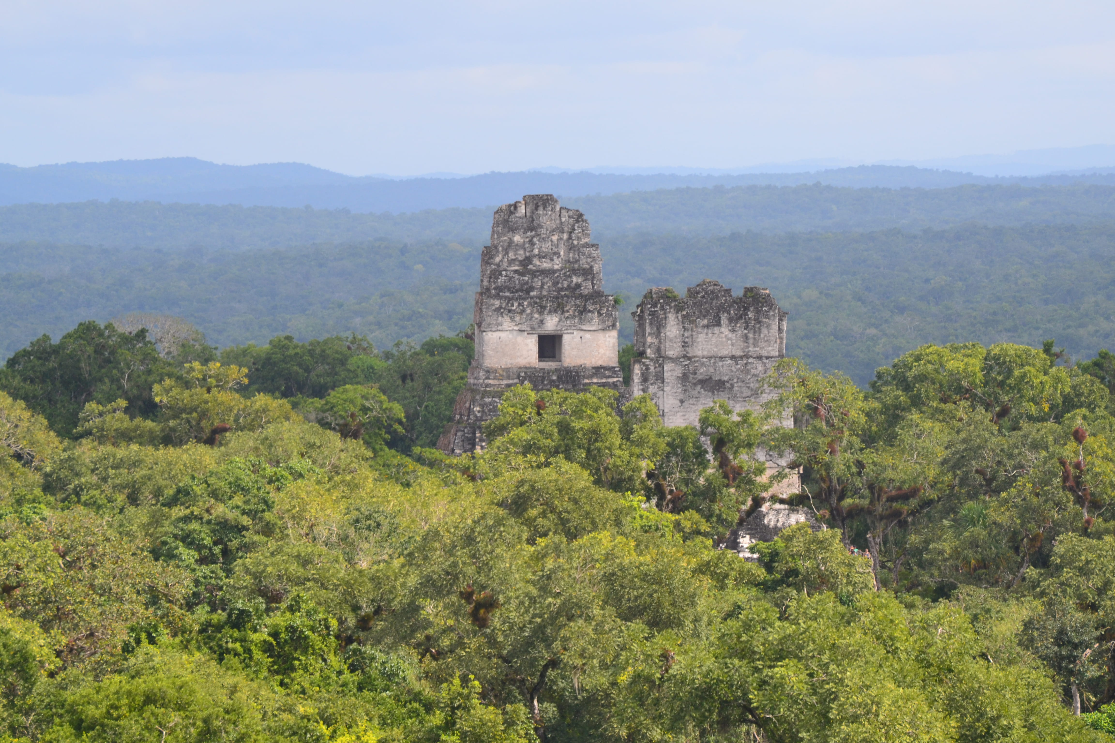 guatemala, tikal, history, the past, plant, architecture, built structure