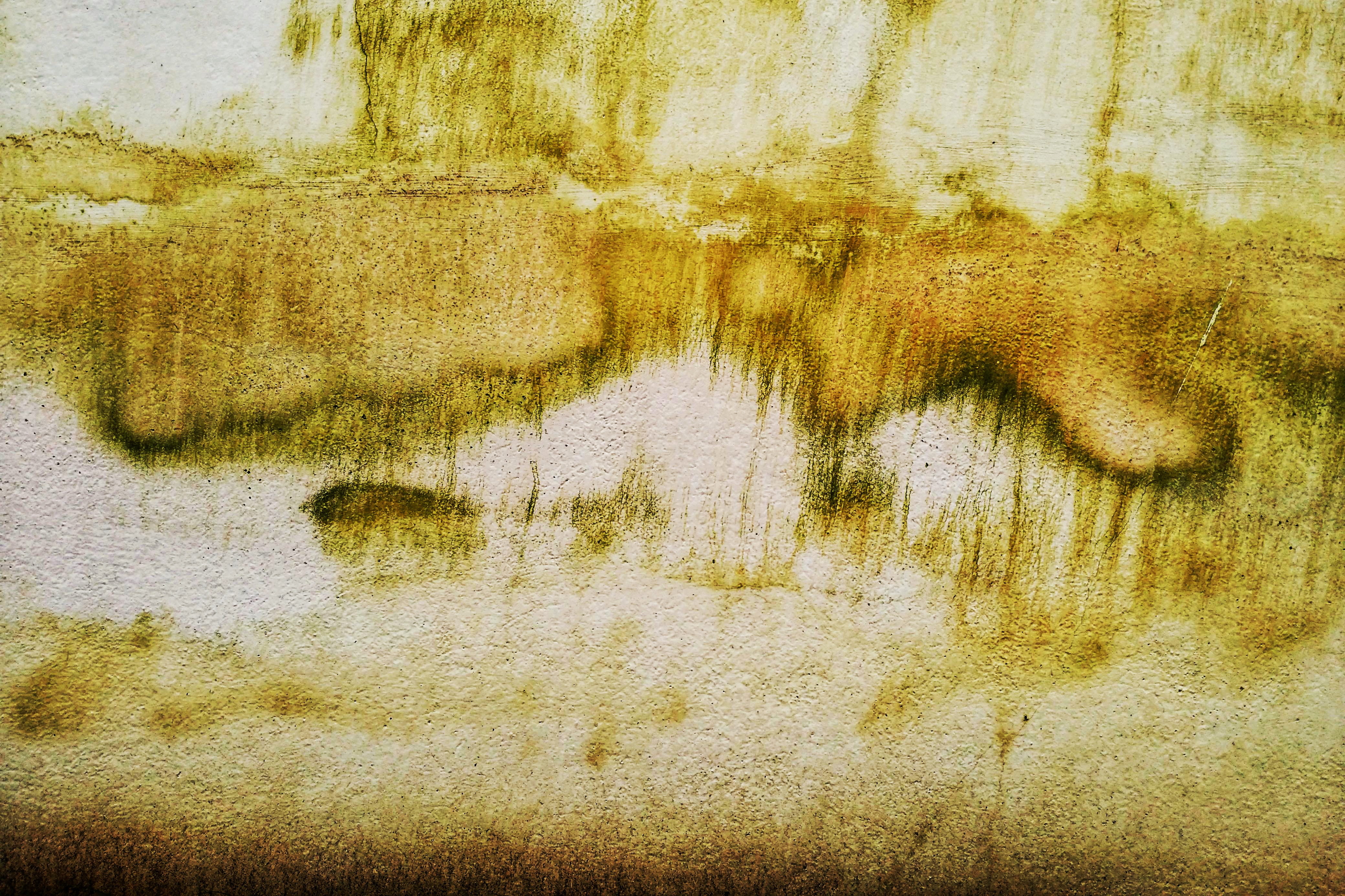 background, wall, texture, rough, moisture, dirt, abstract
