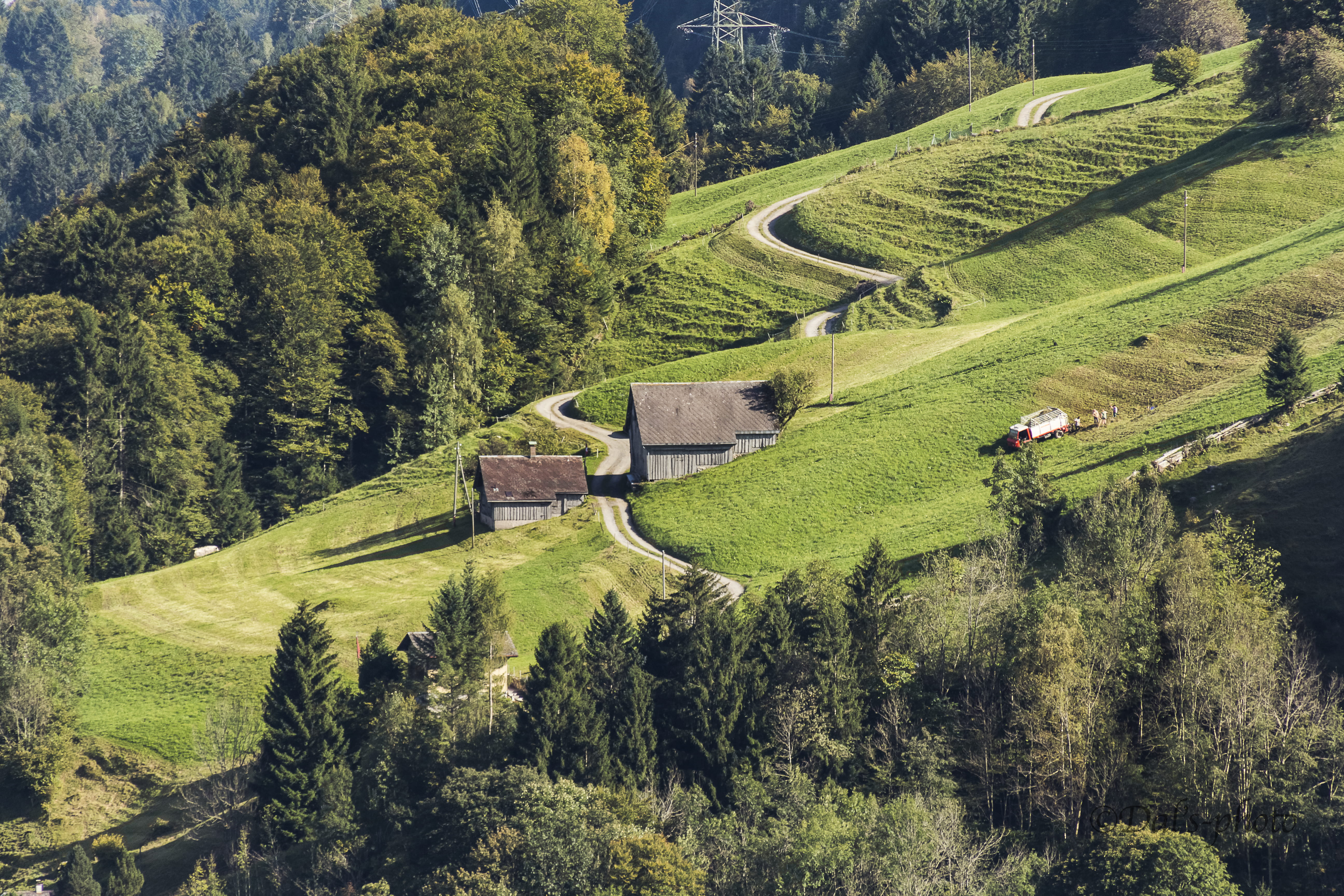 huts, fields, work, valleys, switzerland, mountains, tree, plant