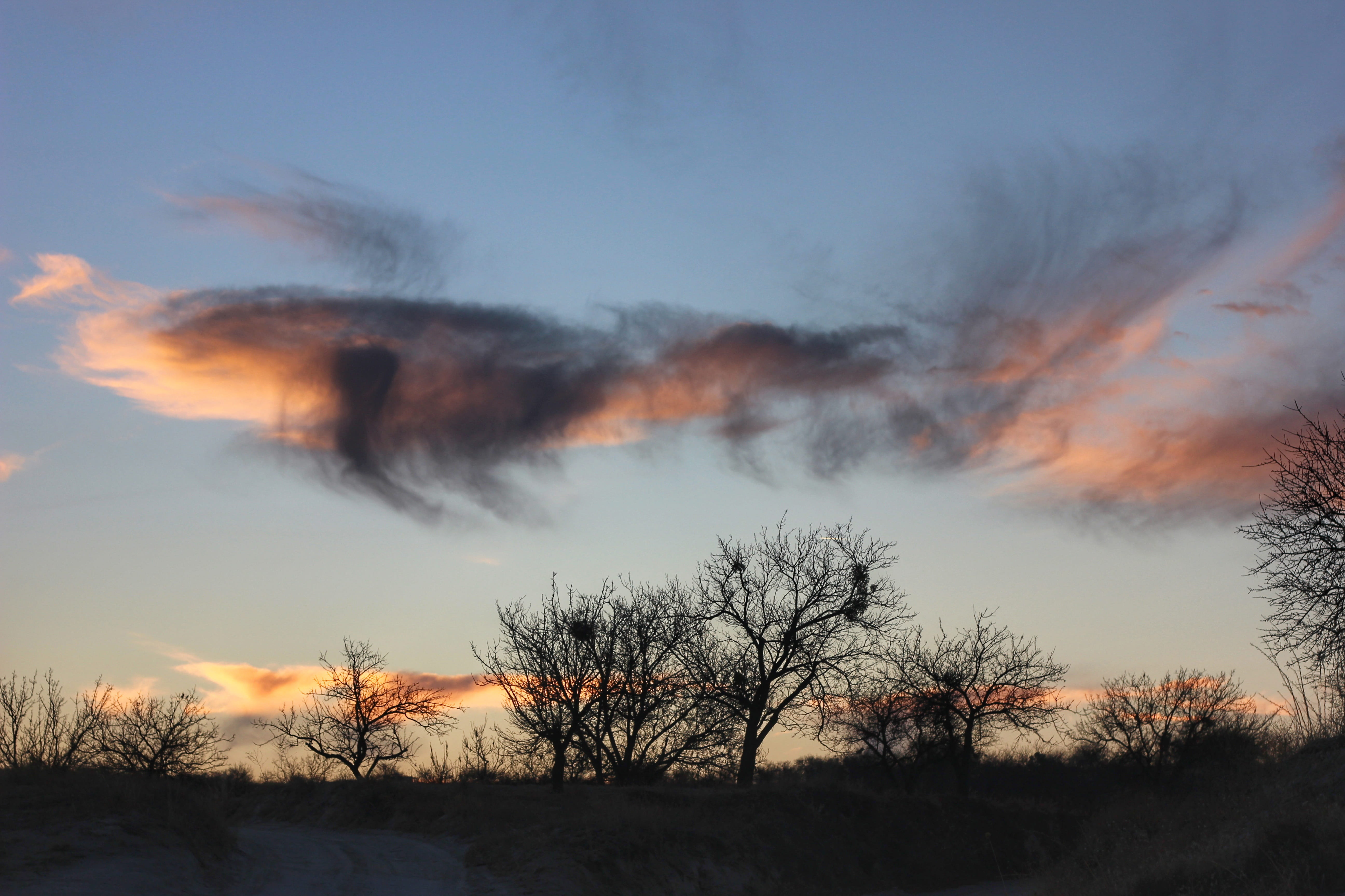 clouds, colors, trees, sky, sunset, nature, landscape, cloud - sky