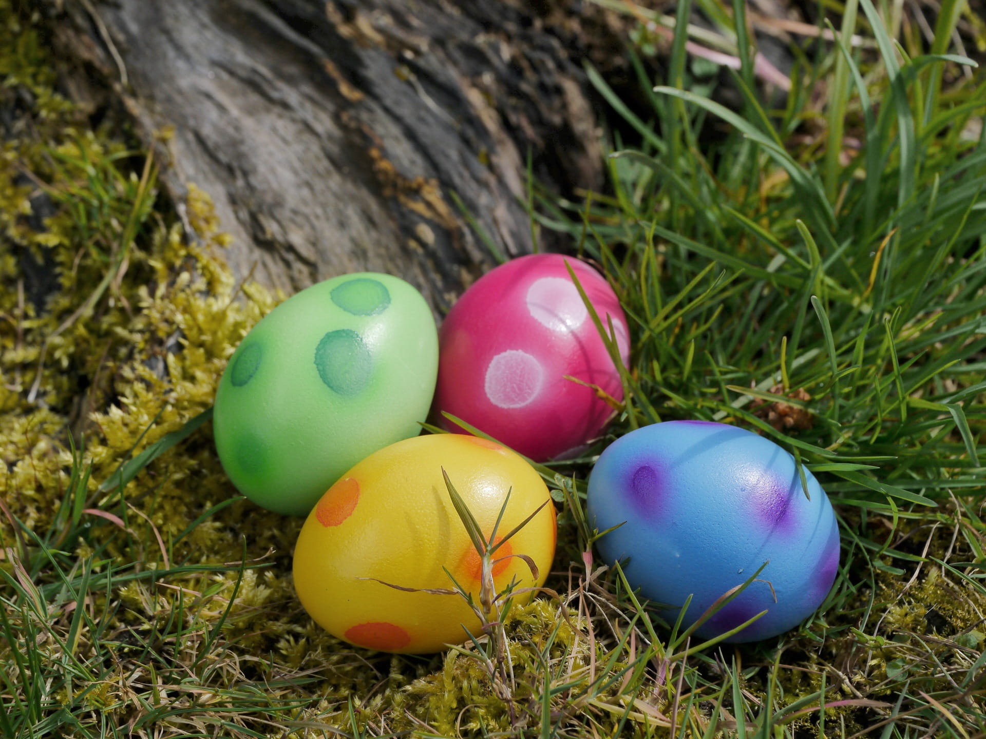 easter, easter eggs, color, colorful, easter tradition, spring
