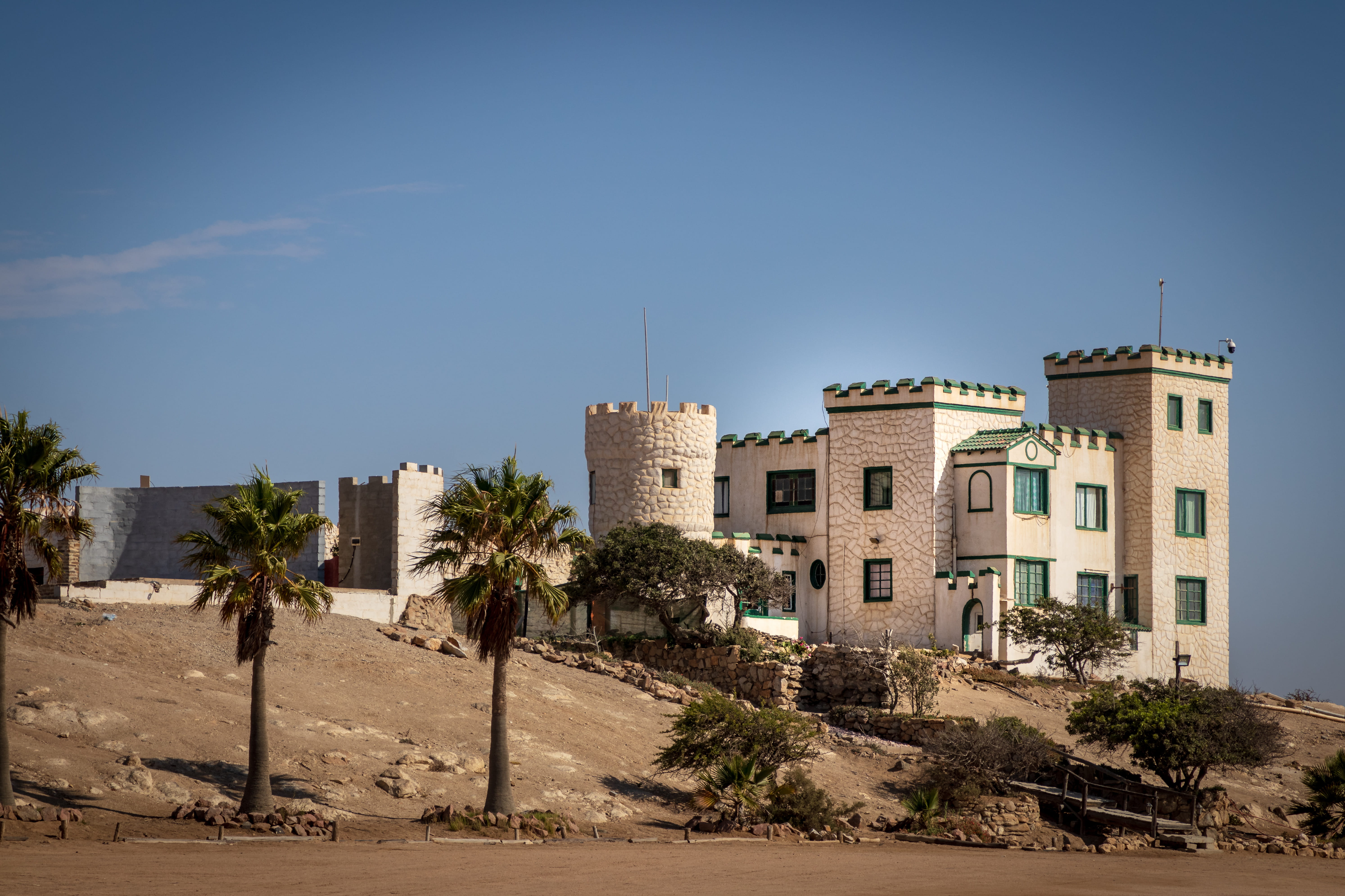 tree, plant, building, arecaceae, palm tree, architecture, castle