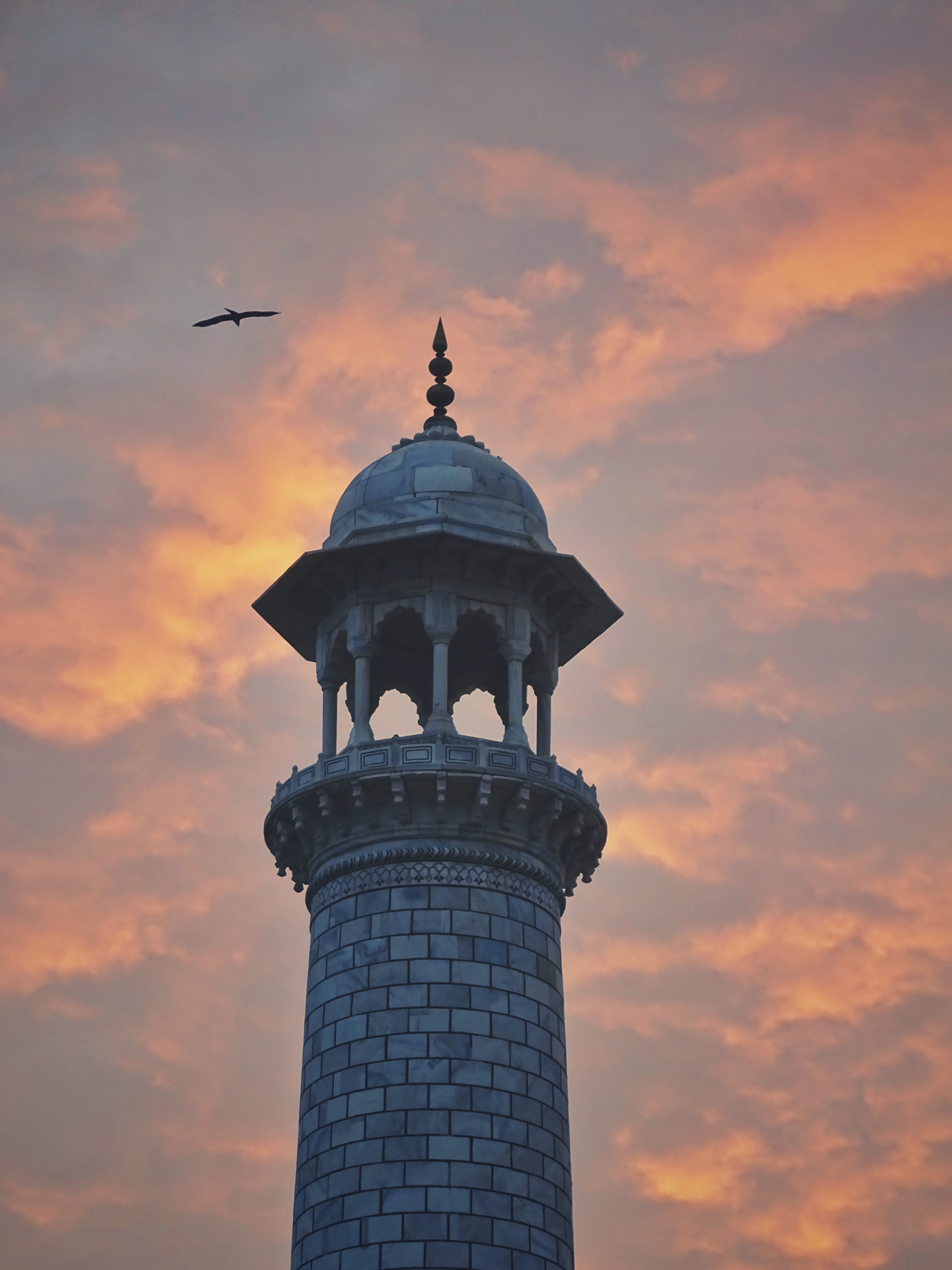 building, architecture, dome, tower, lighthouse, beacon, bird