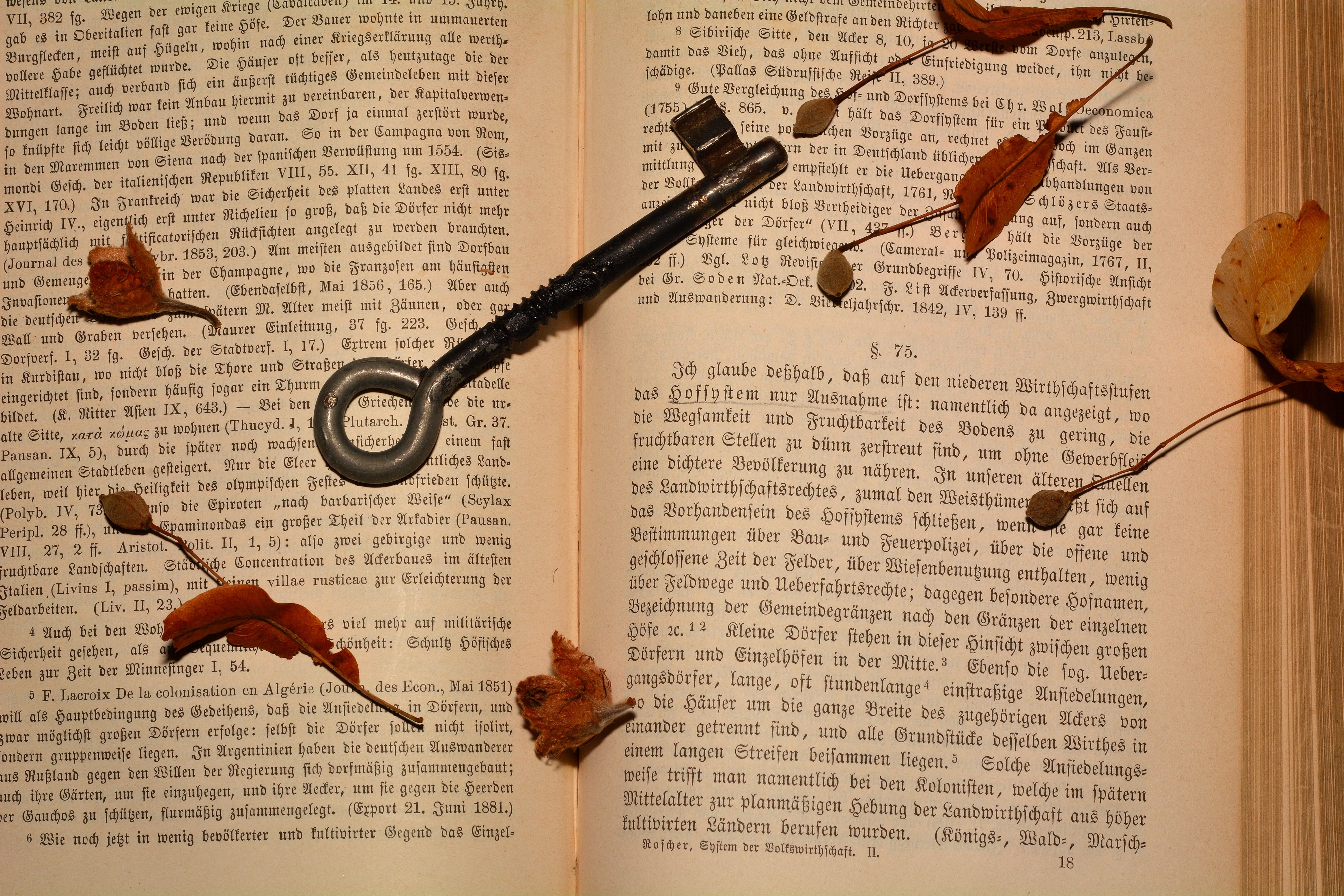 book, paper, read, study, novel, knowledge, work, text, western script