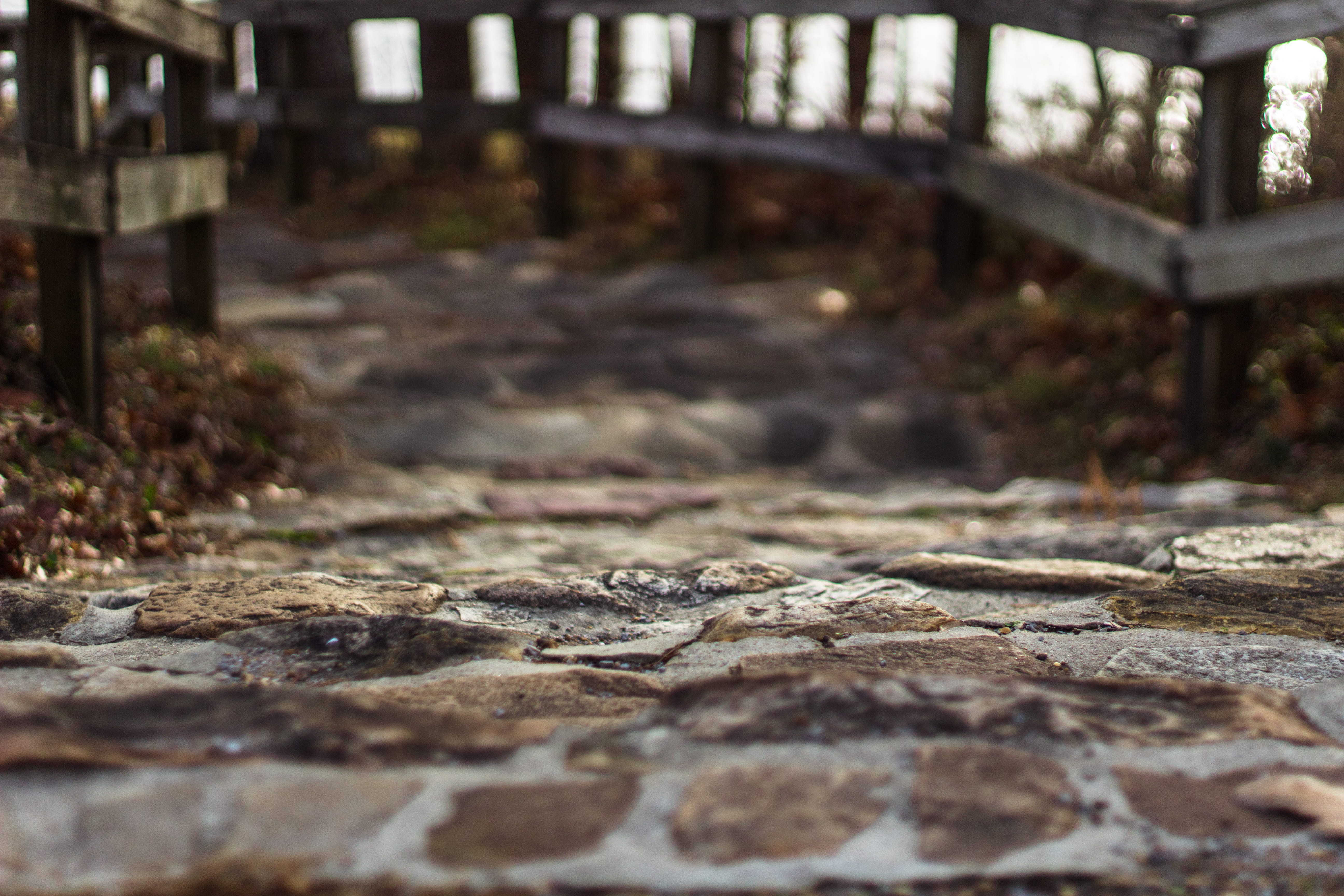 rocks, path, trees, water, stone, steps, selective focus, day