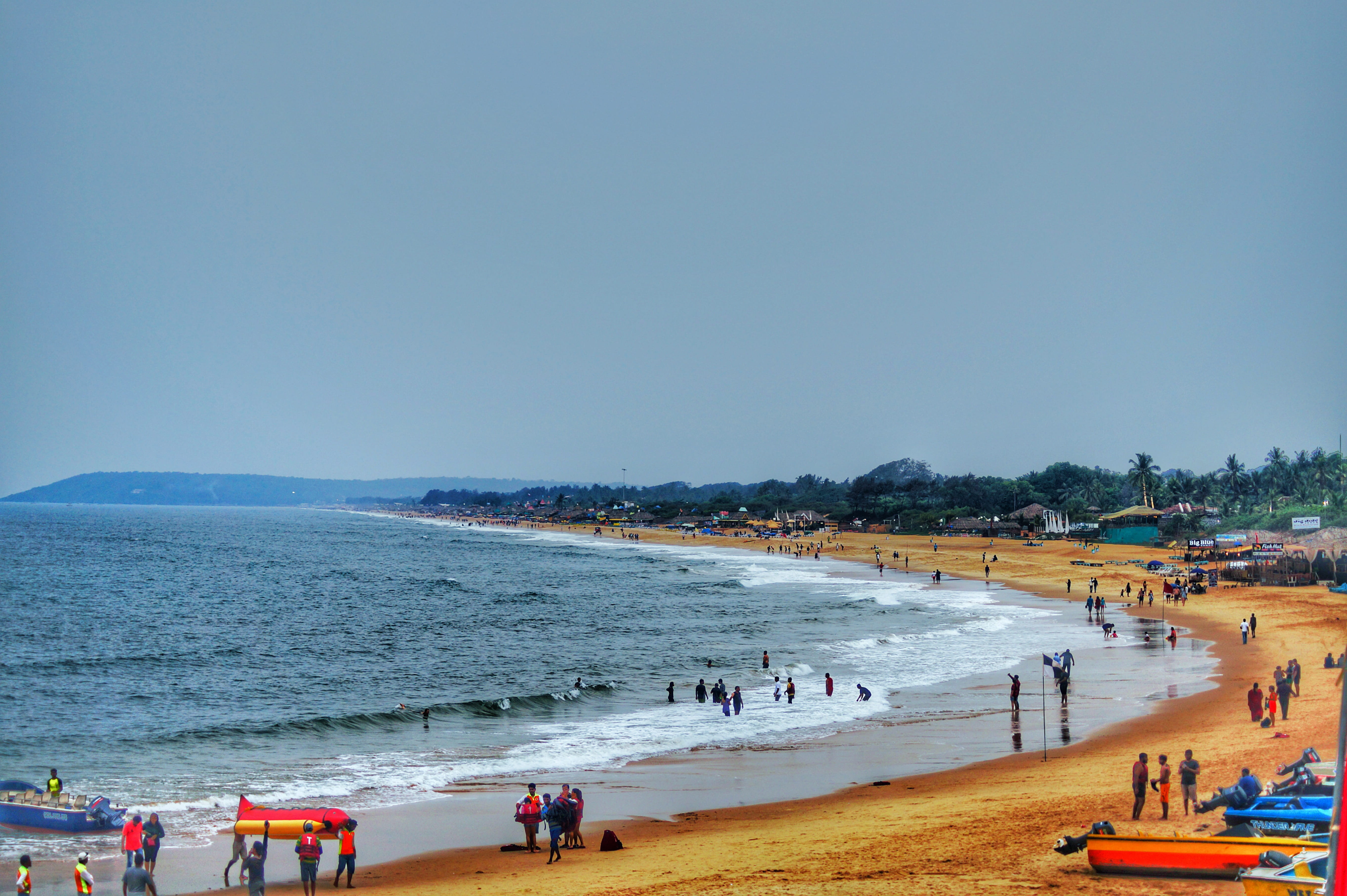 People on Beach Surrounded With Tree, daylight, fun, landscape