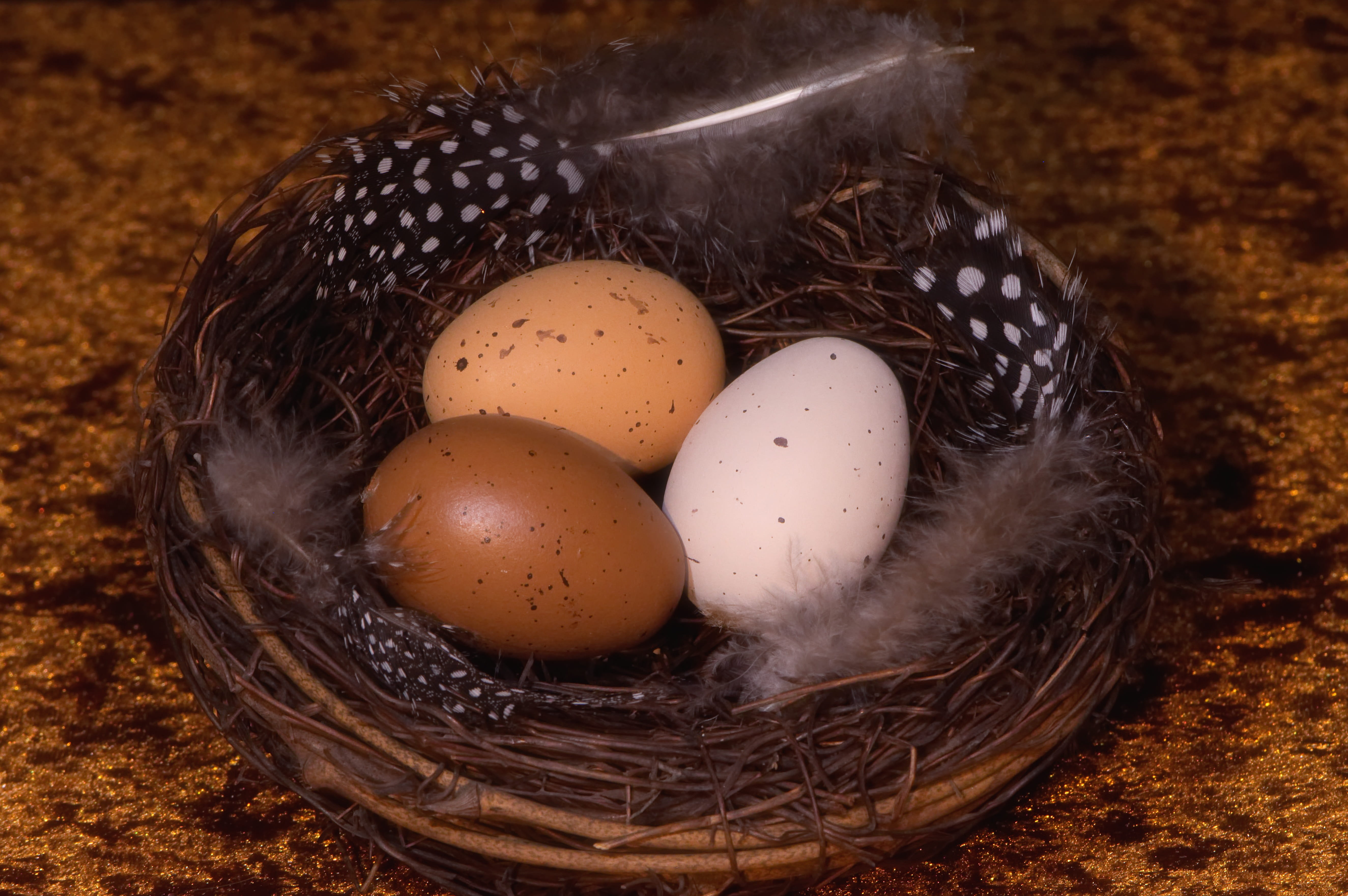 easter eggs, easter nest, decoration, spring, easter theme