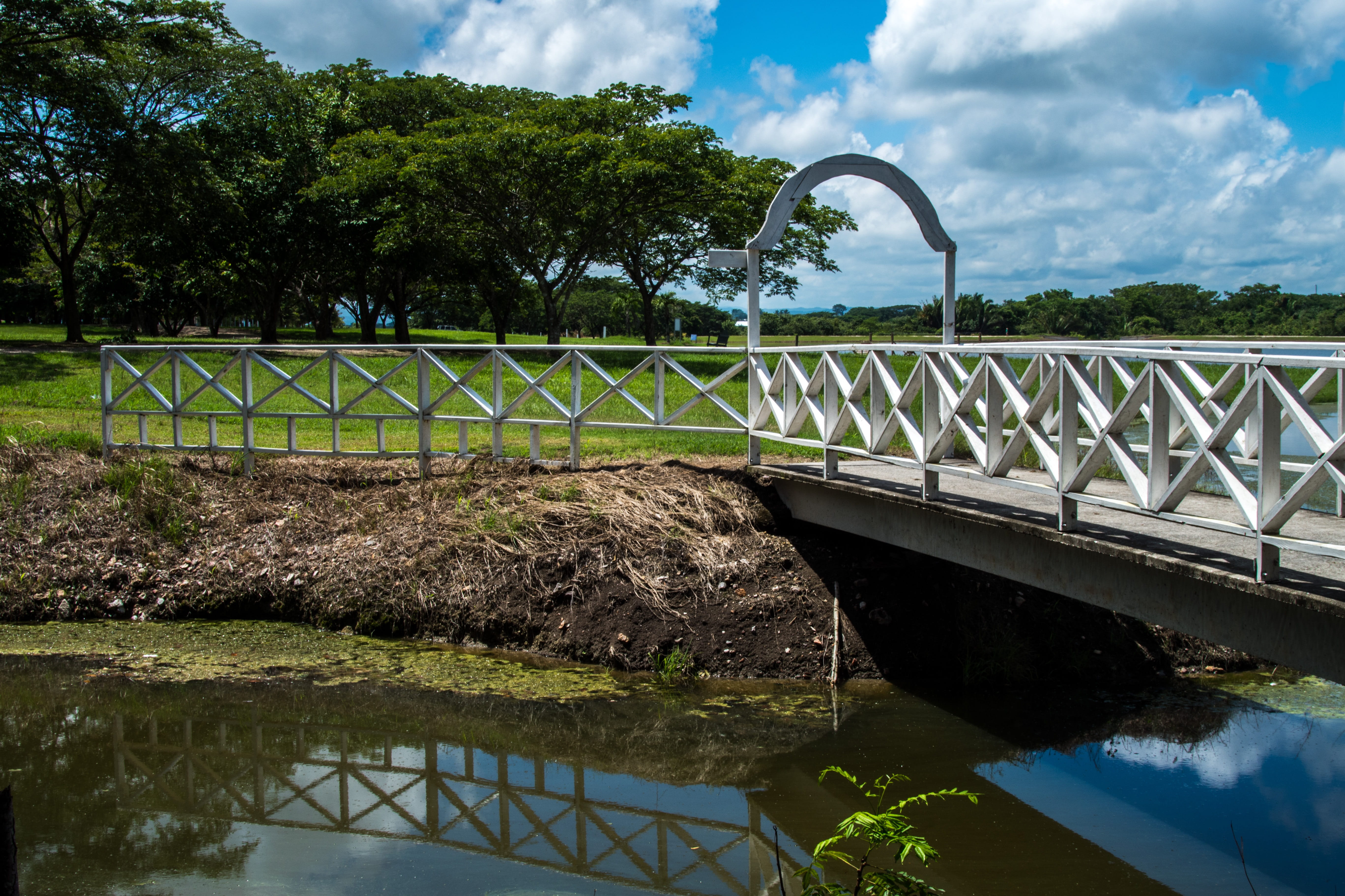 bridge, over, creek, walk, reflection, mirroring, small, passage