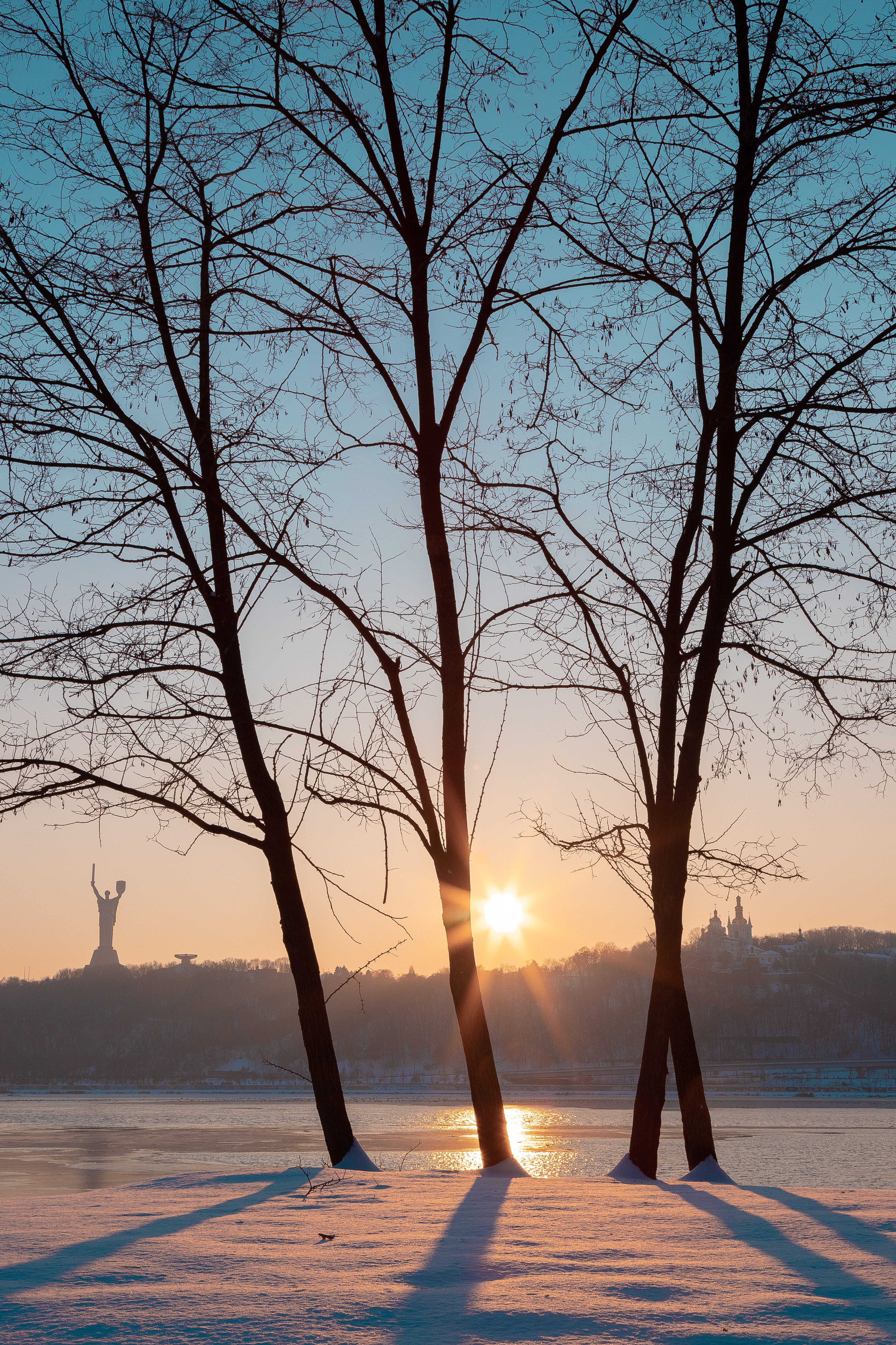 leafless trees, light, flare, nature, outdoors, sunlight, sky