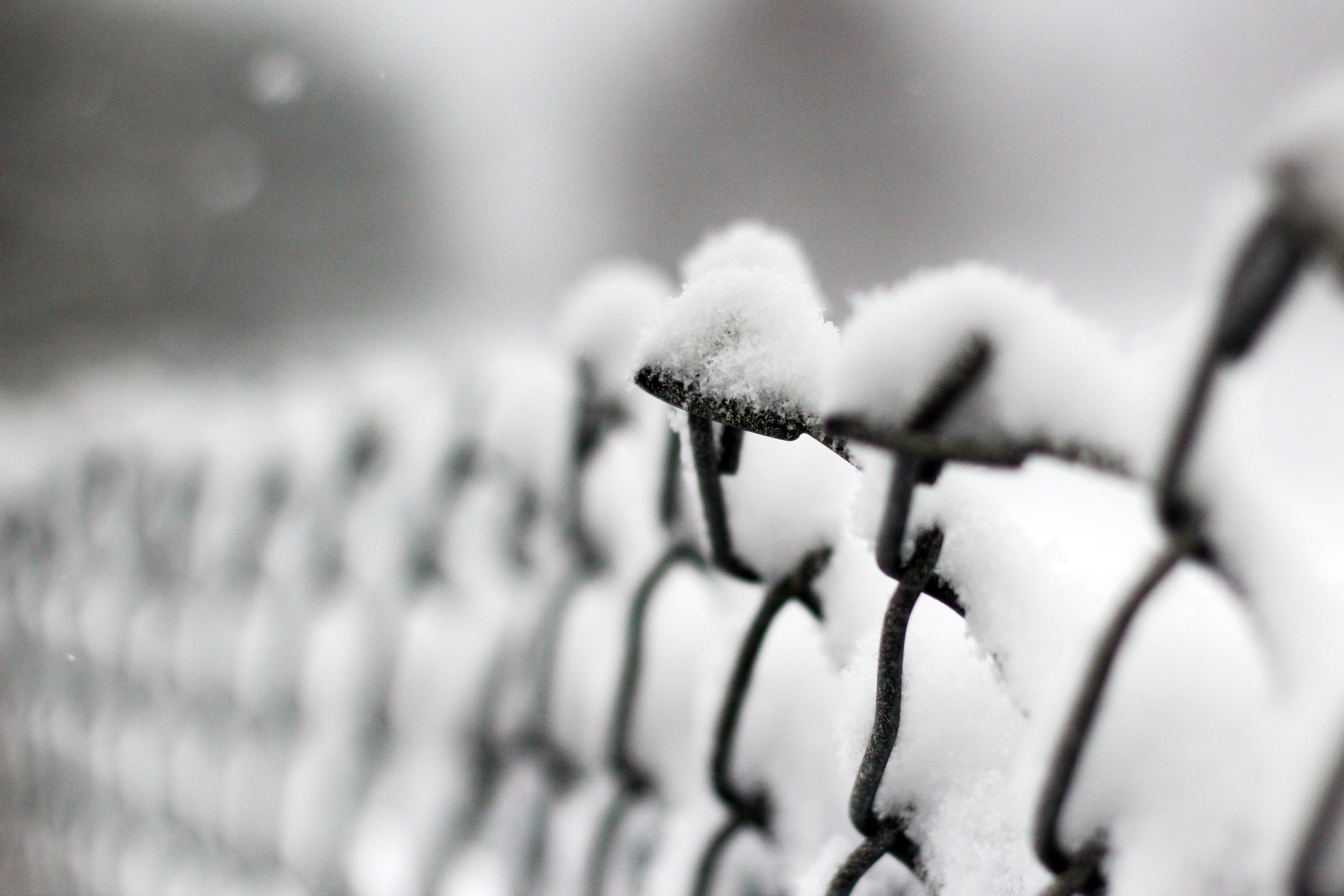 fence, snow, winter, cold, cold temperature, selective focus