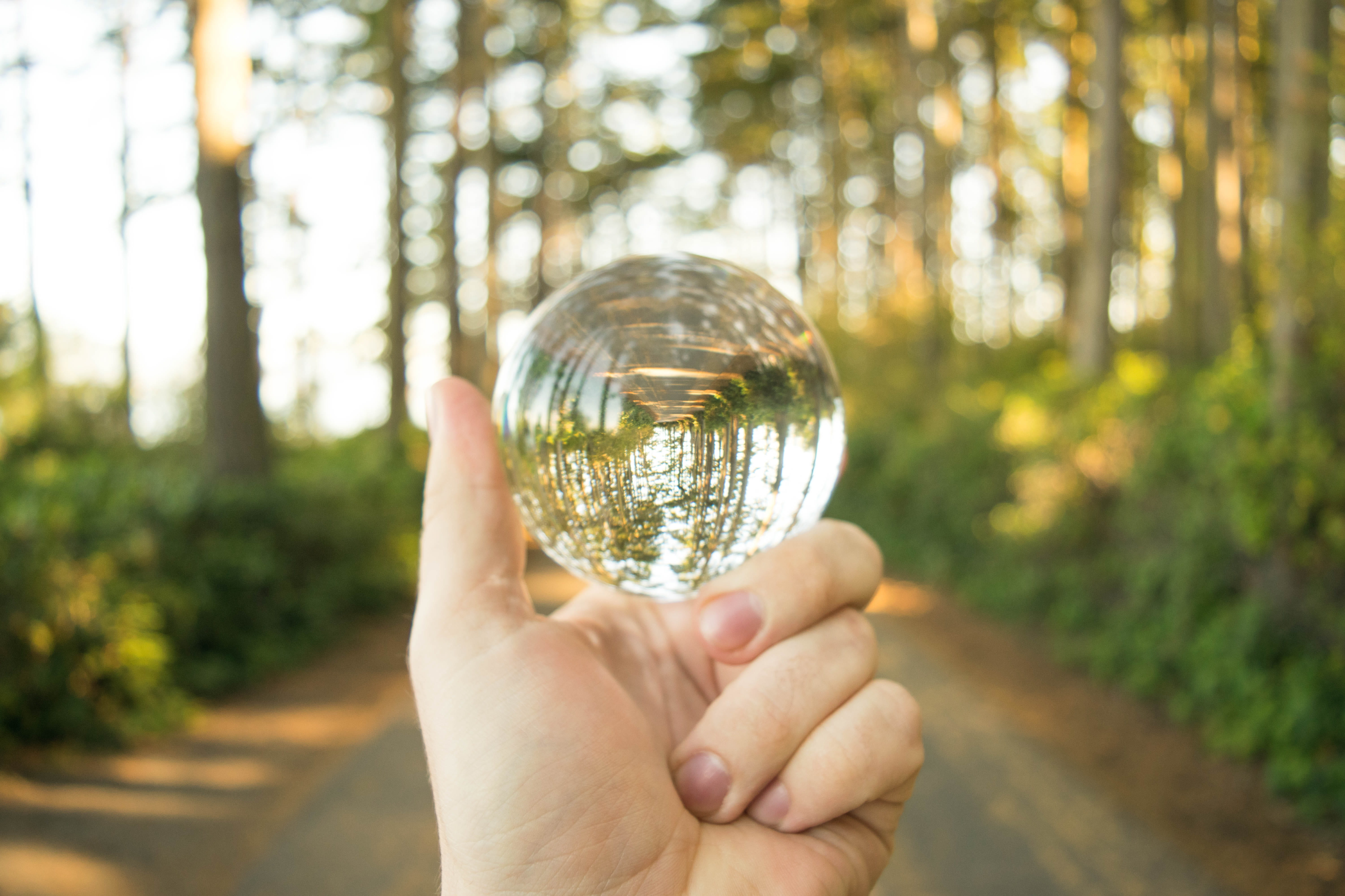 united states, anacortes, wa woods, crystal ball, pnw, pnw woods