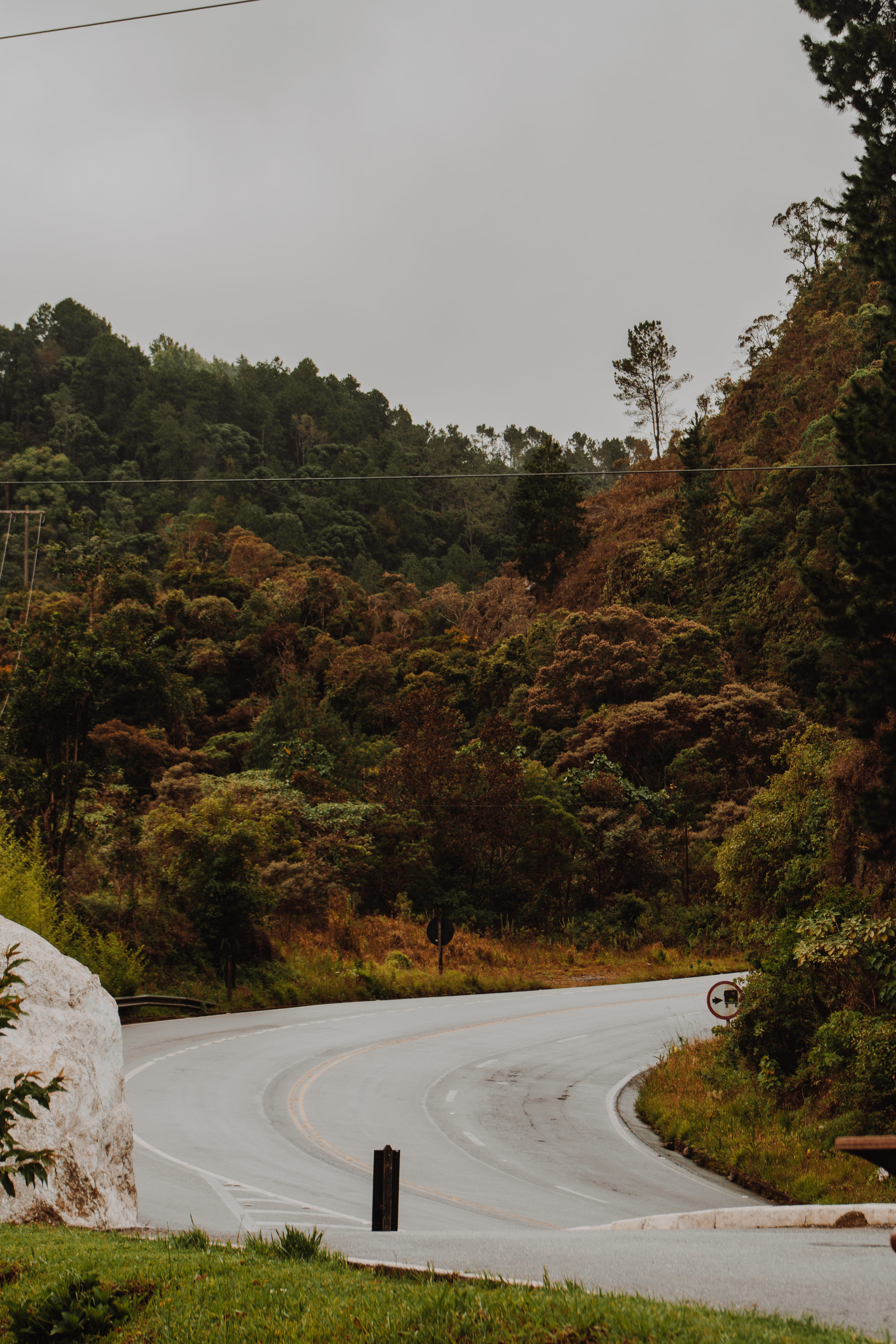 Concrete Road Between Trees, clouds, daylight, environment, forest