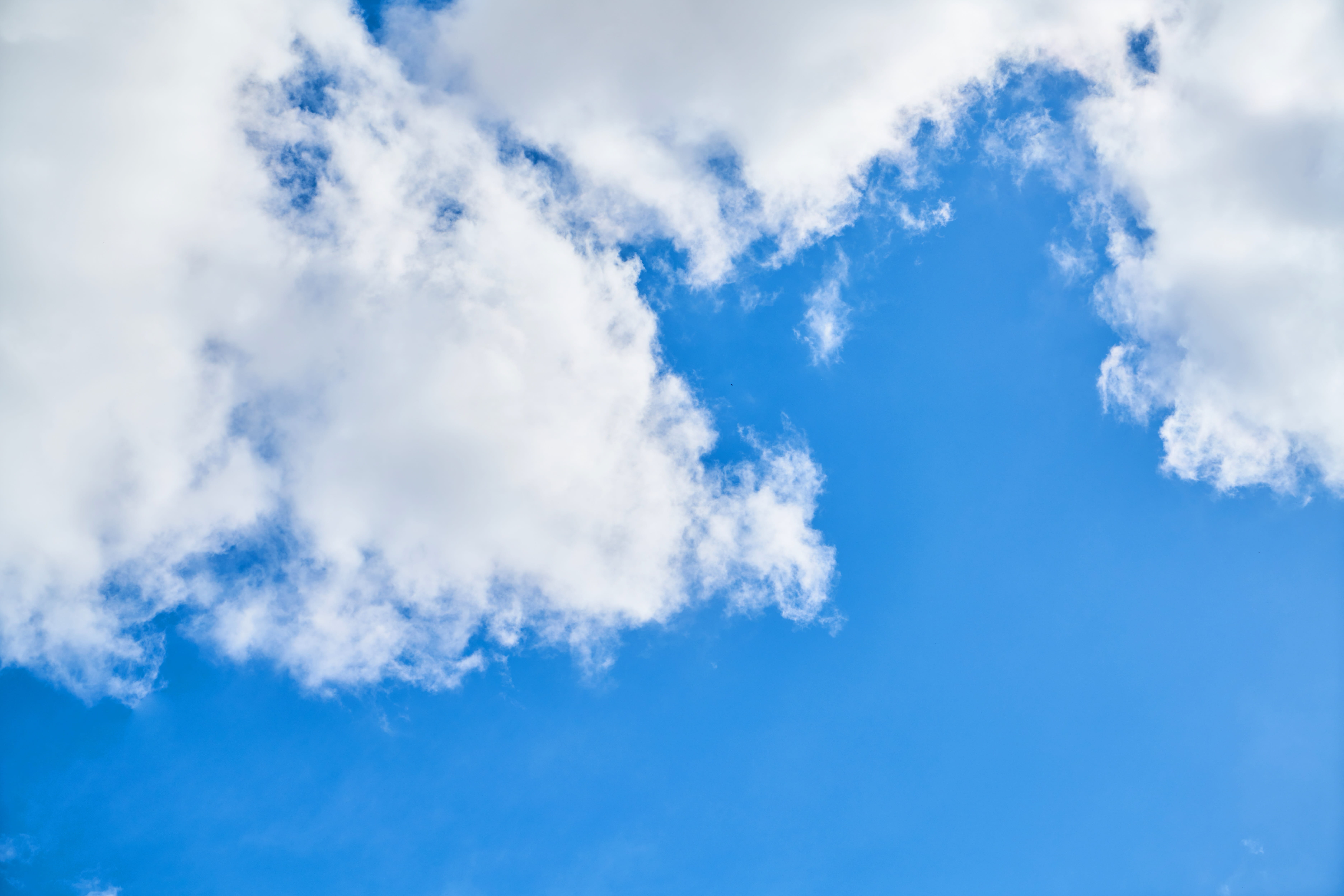 abstract, pattern, spring, cloud - sky, blue, low angle view