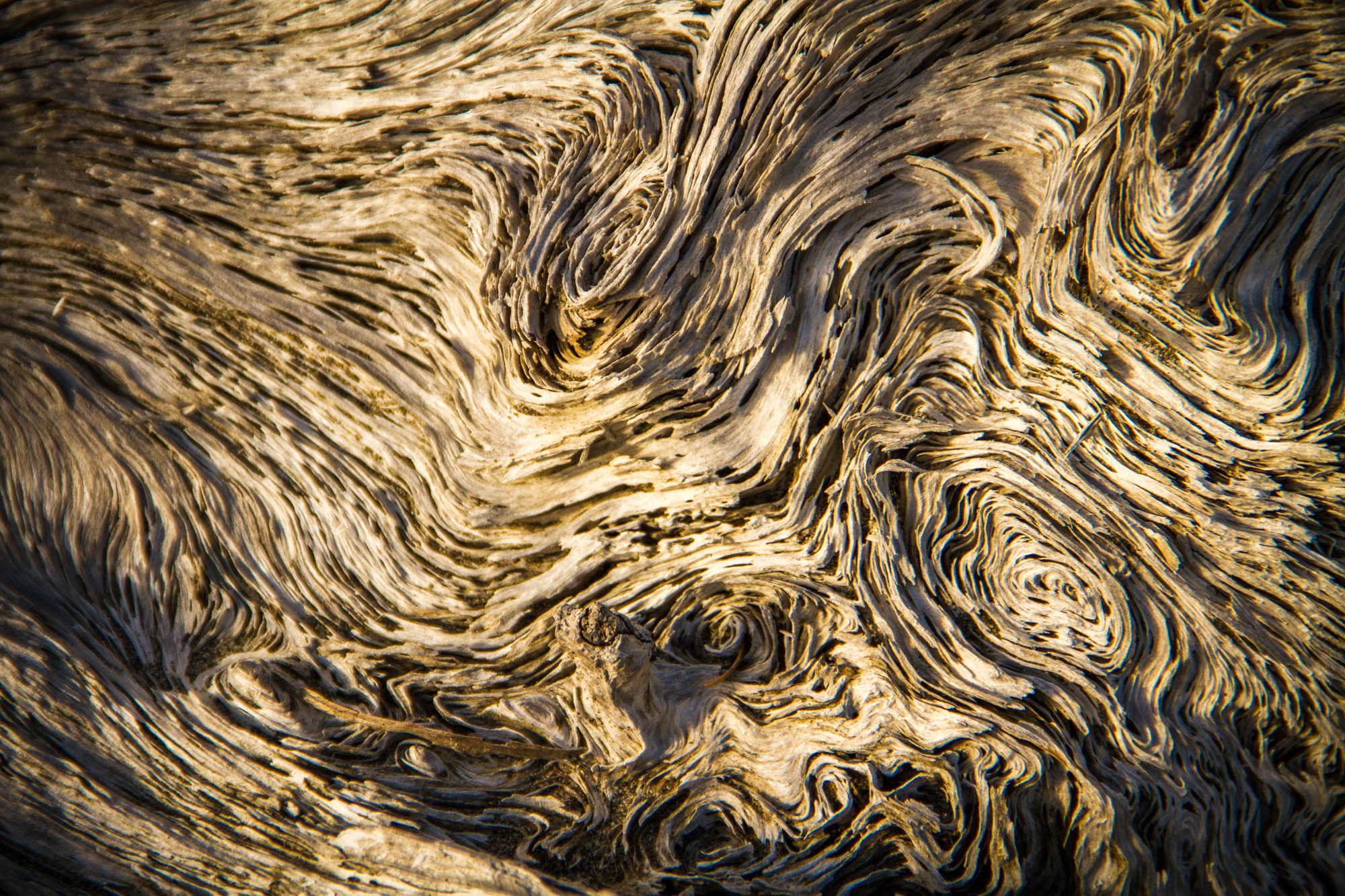 abstract, backgrounds, full frame, pattern, no people, close-up