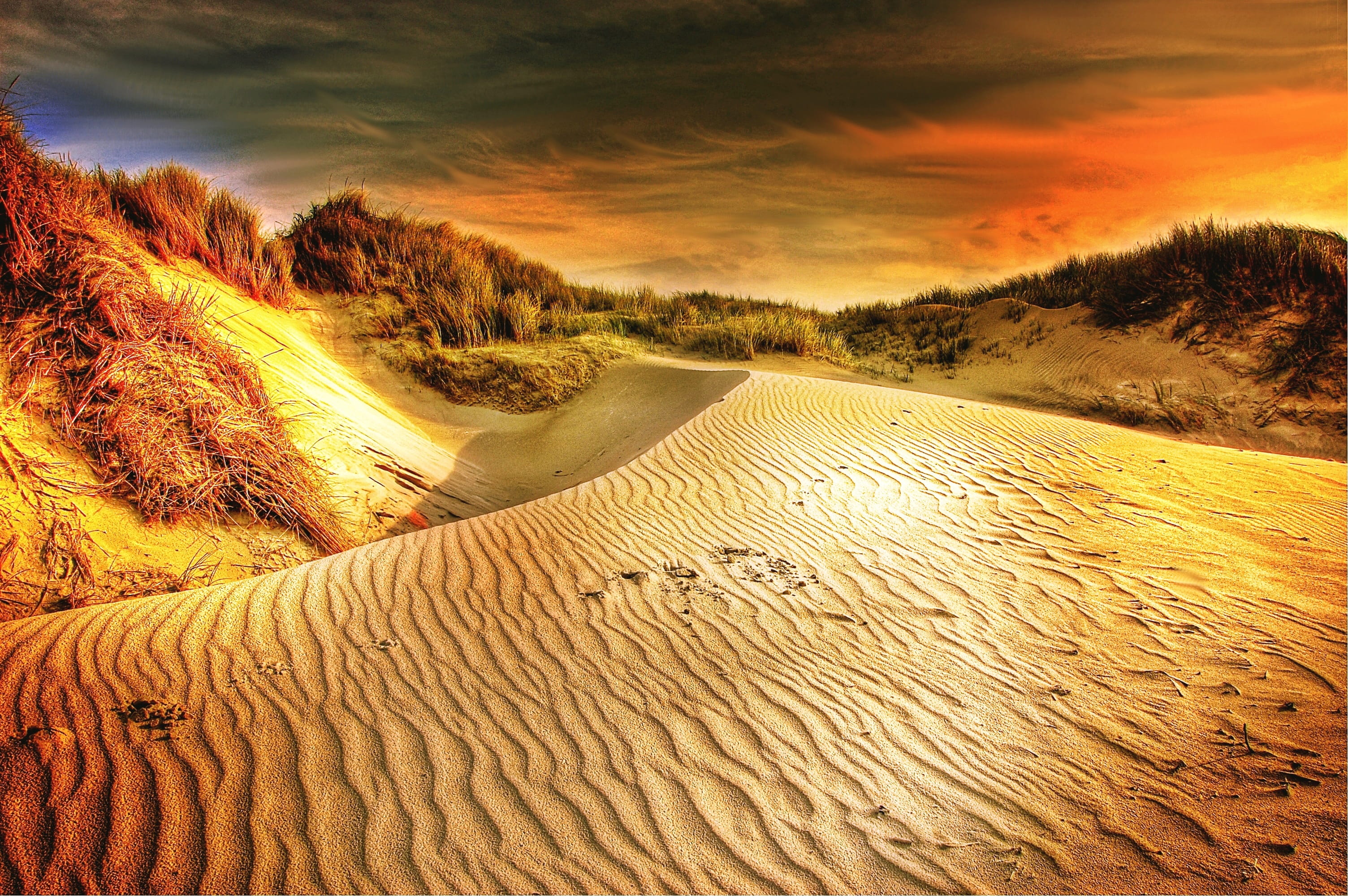 Brown Sand Under Gray Sky, clouds, cloudy, dawn, dramatic, grass