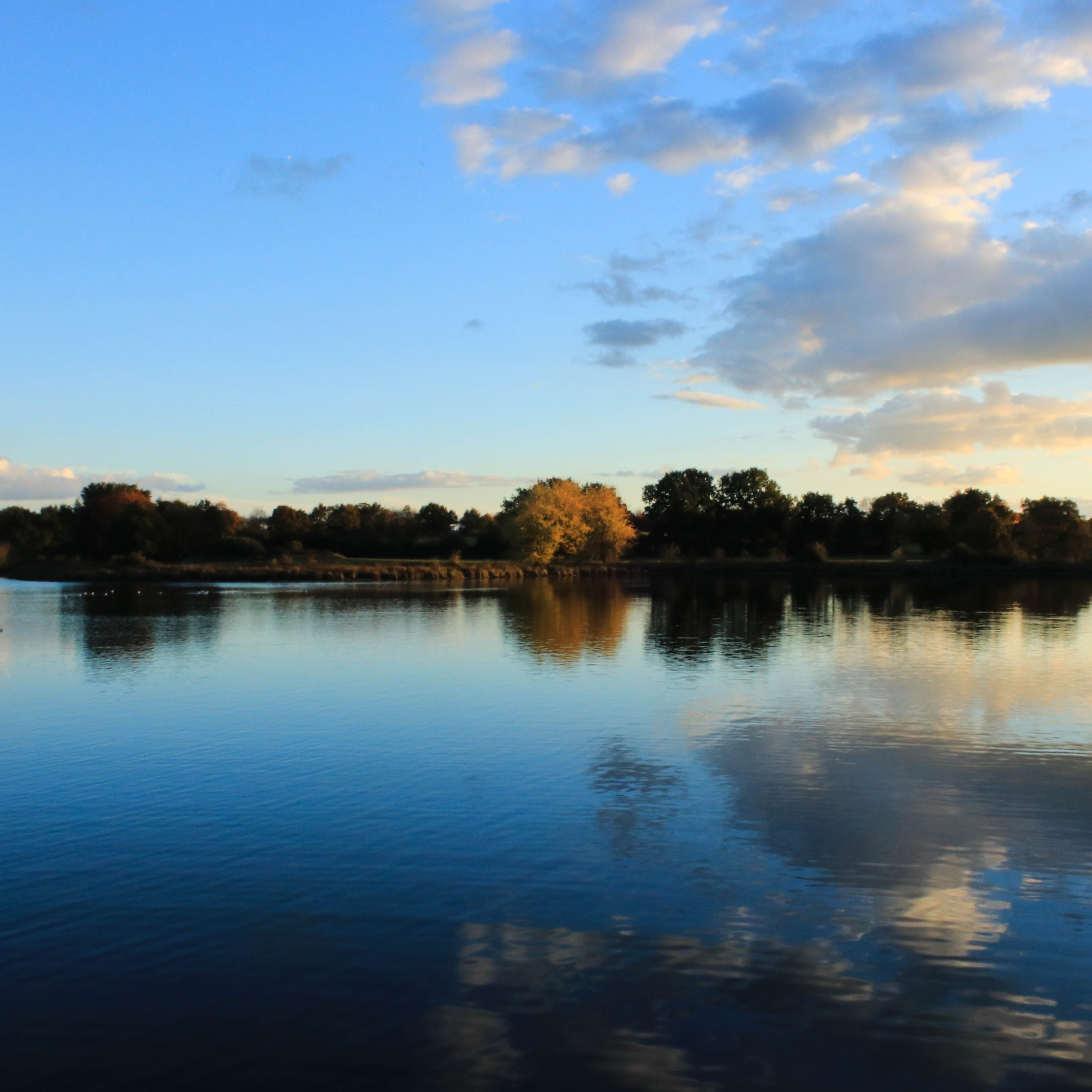 sky, blue, clouds, landscape, lake, reflection, tree, trees