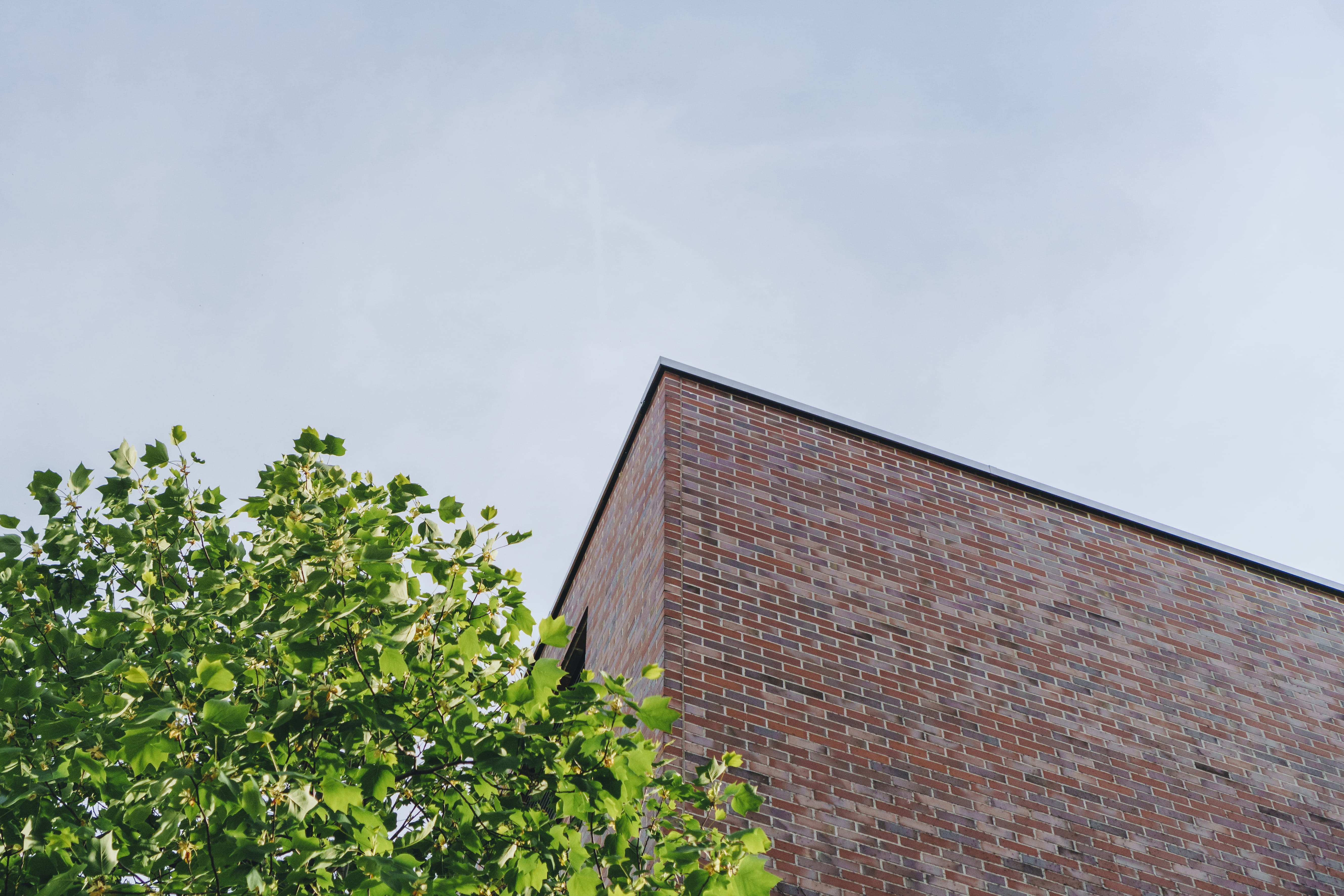 archidecture, tree, house, sky, architecture, built structure