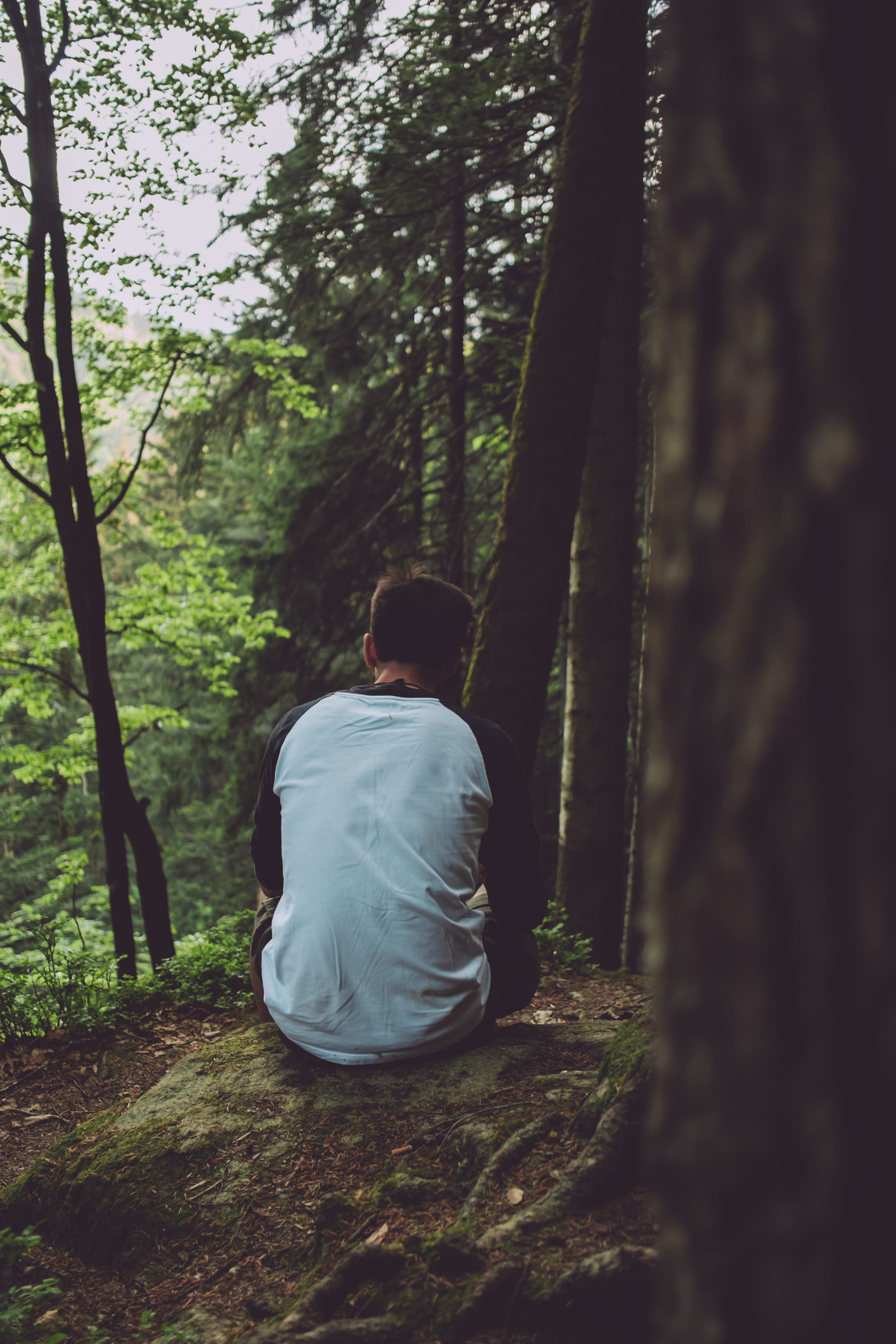 trees, forest, hiking, man, sitting, contemplating, resting