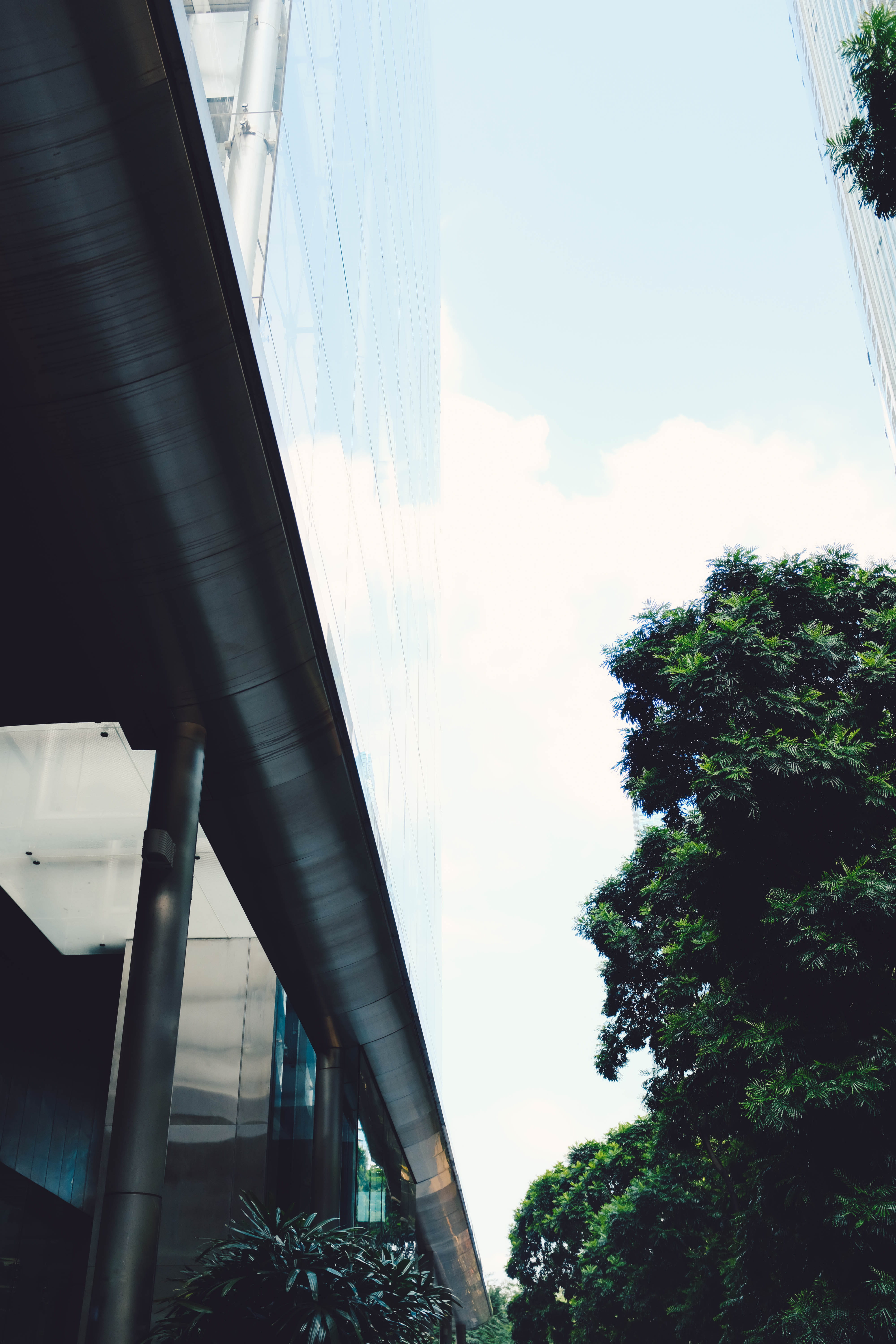 green-leafed tree, road, way, overpass, highway, building, plant