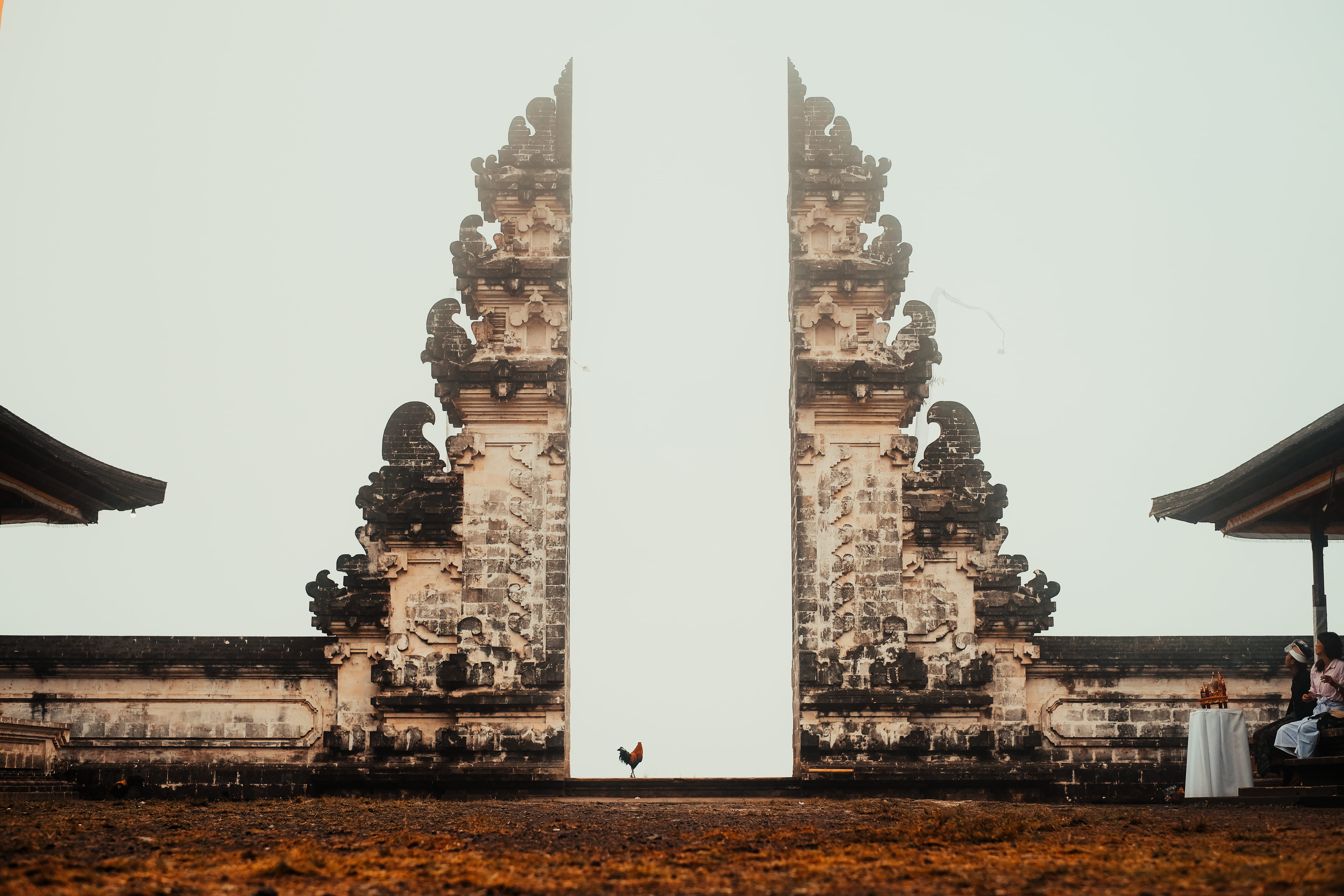 rooster in between concrete arch, architecture, built structure