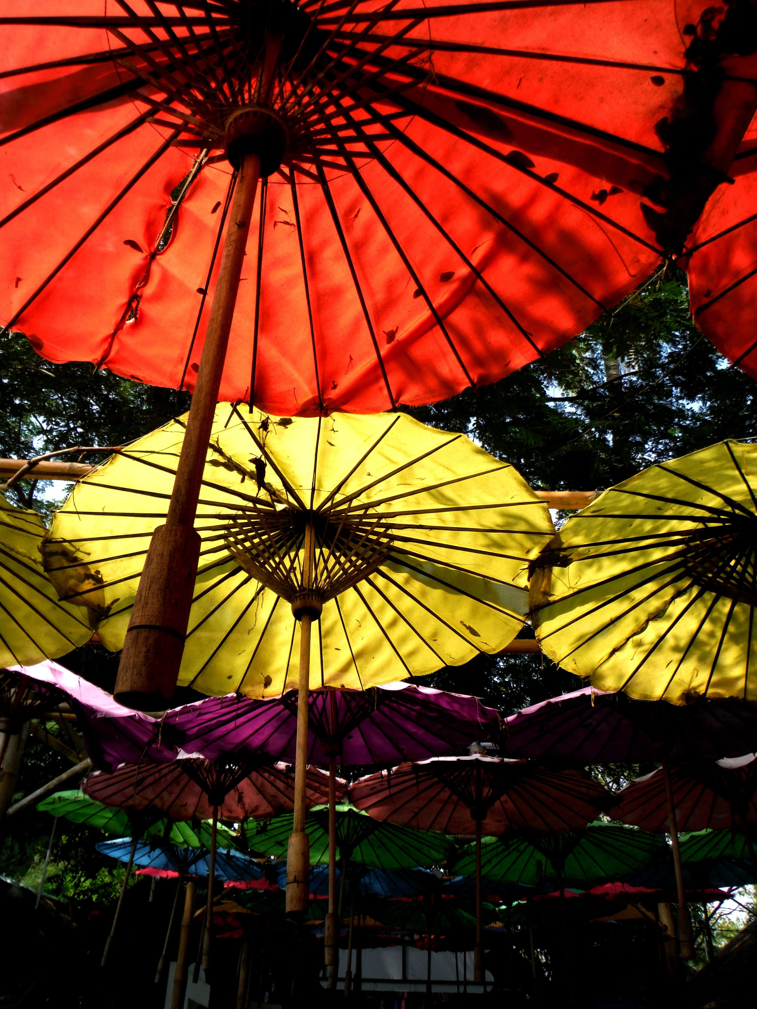 umbrella, sky, decorated, low angle view, multi colored, parasol