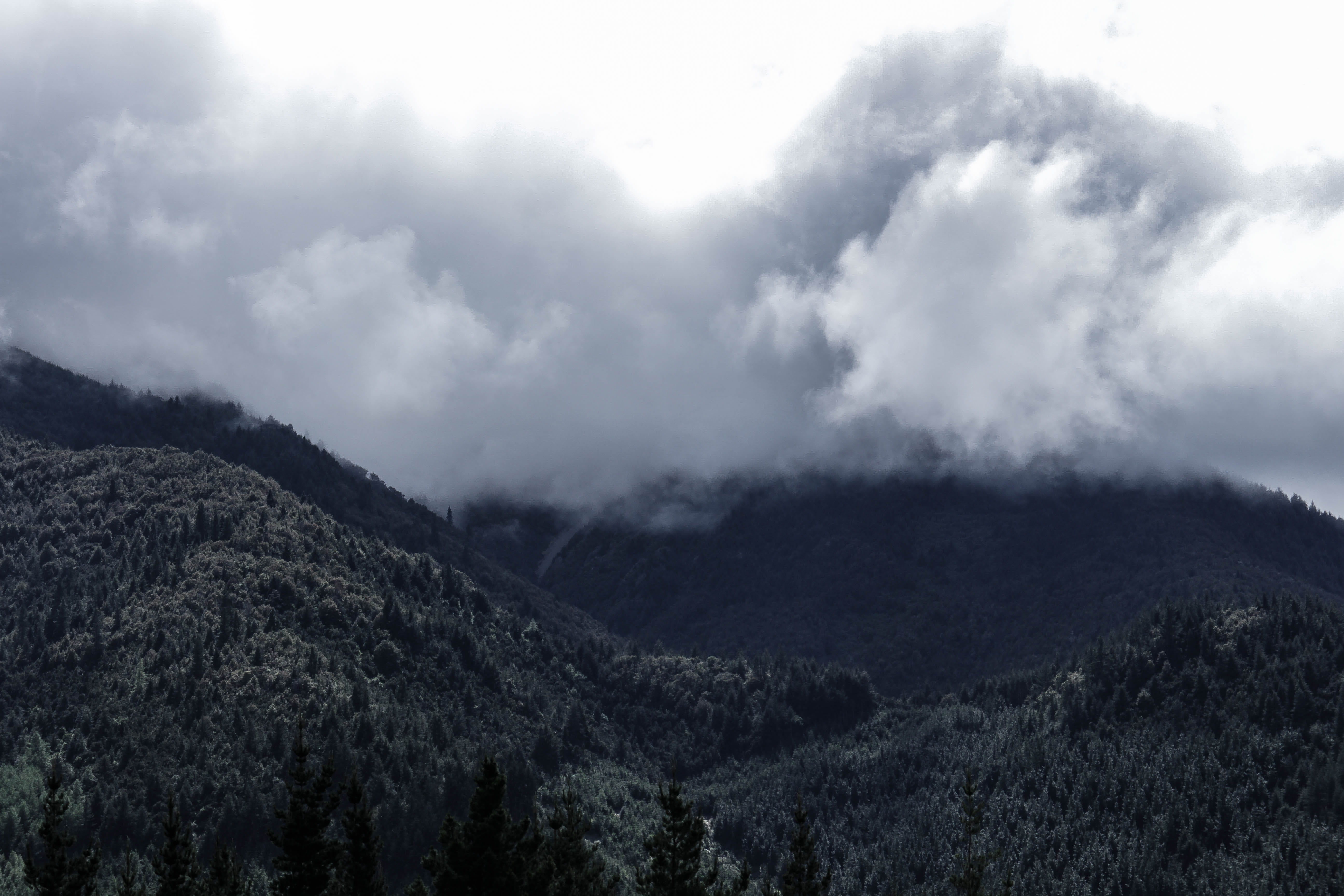 Mountain Covered With White Clouds, cloudy, daylight, forest