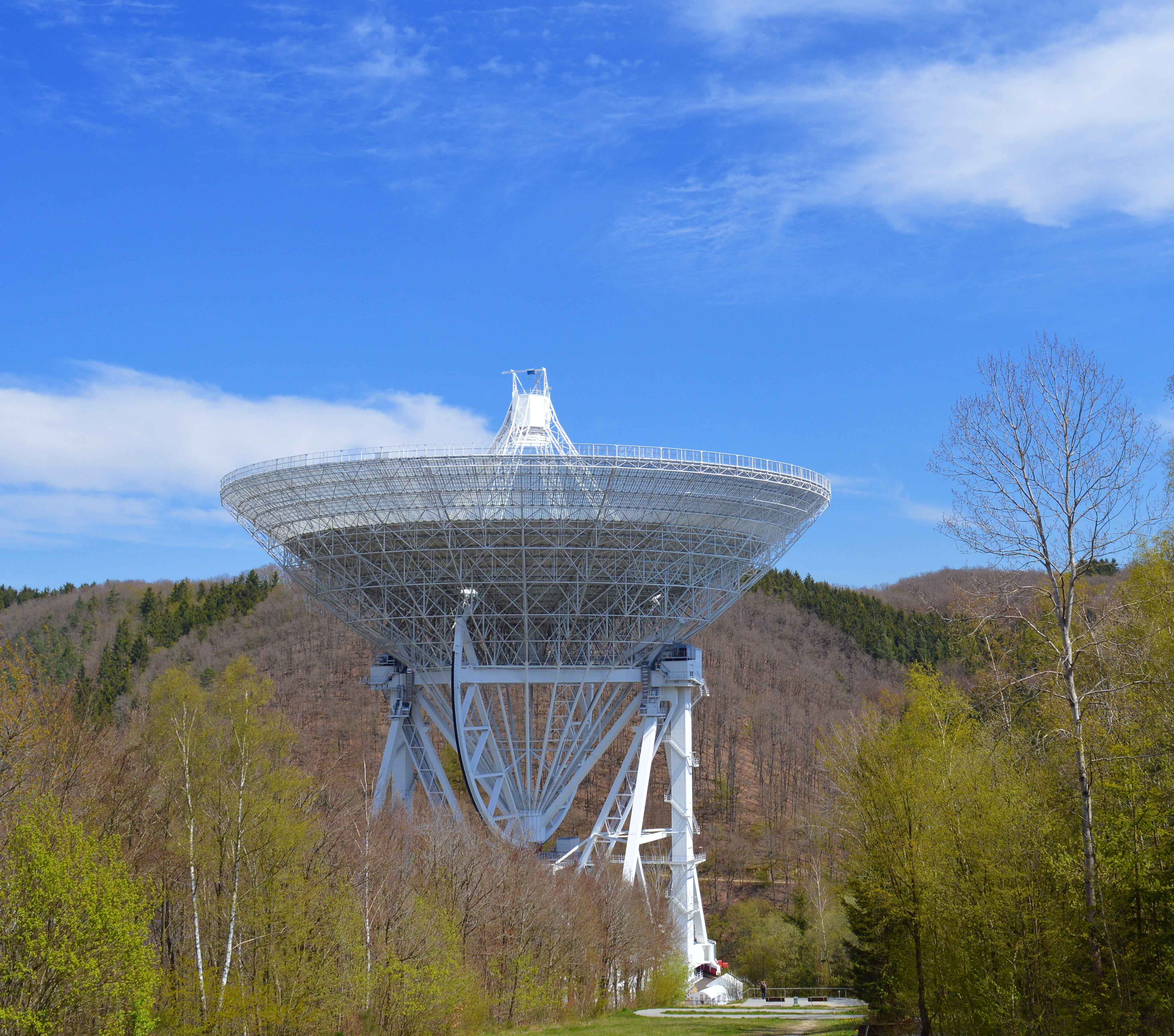 White Satellite Surrounded by Trees, architecture, branches, clouds