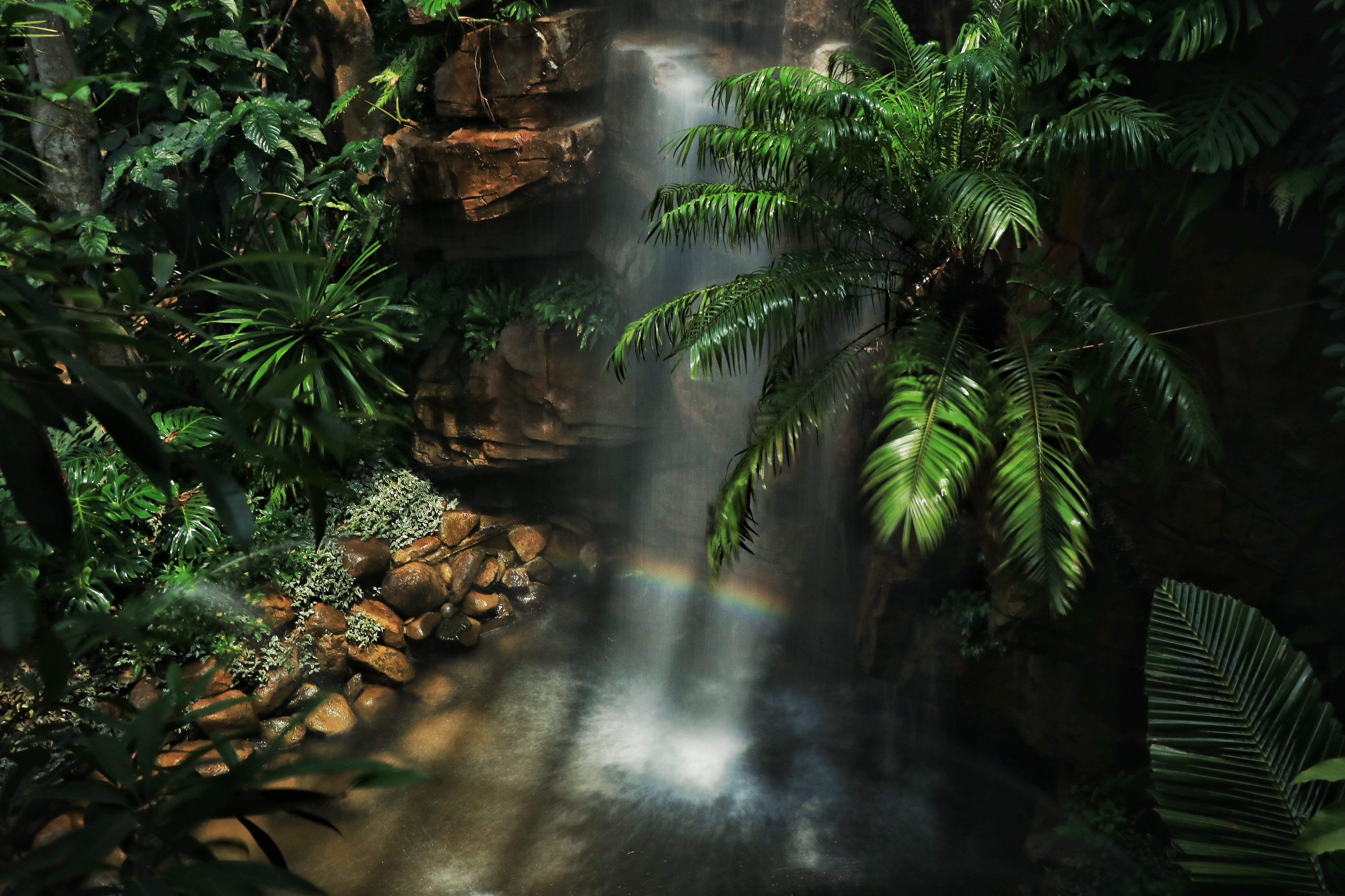 waterfalls between trees with sun rays, plant, growth, nature