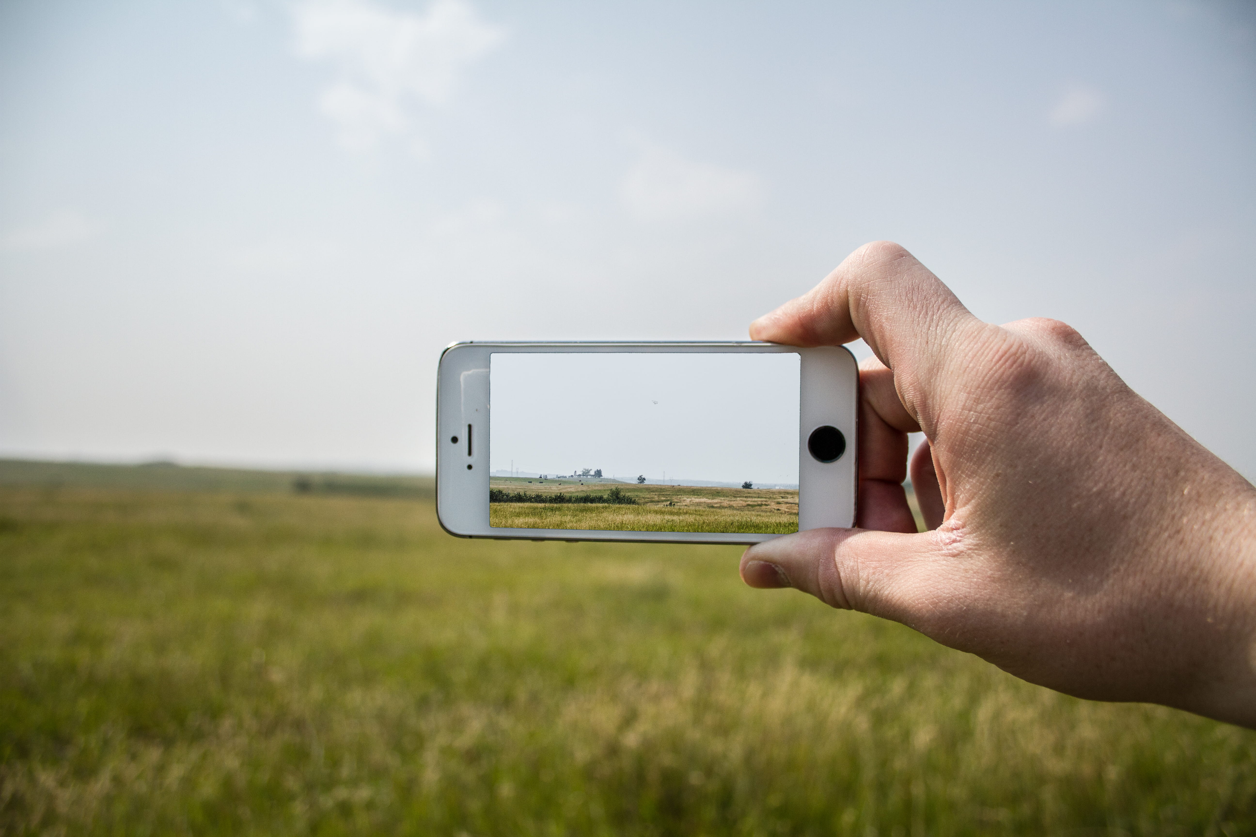 canada, calgary, trees, field, phone, human hand, technology