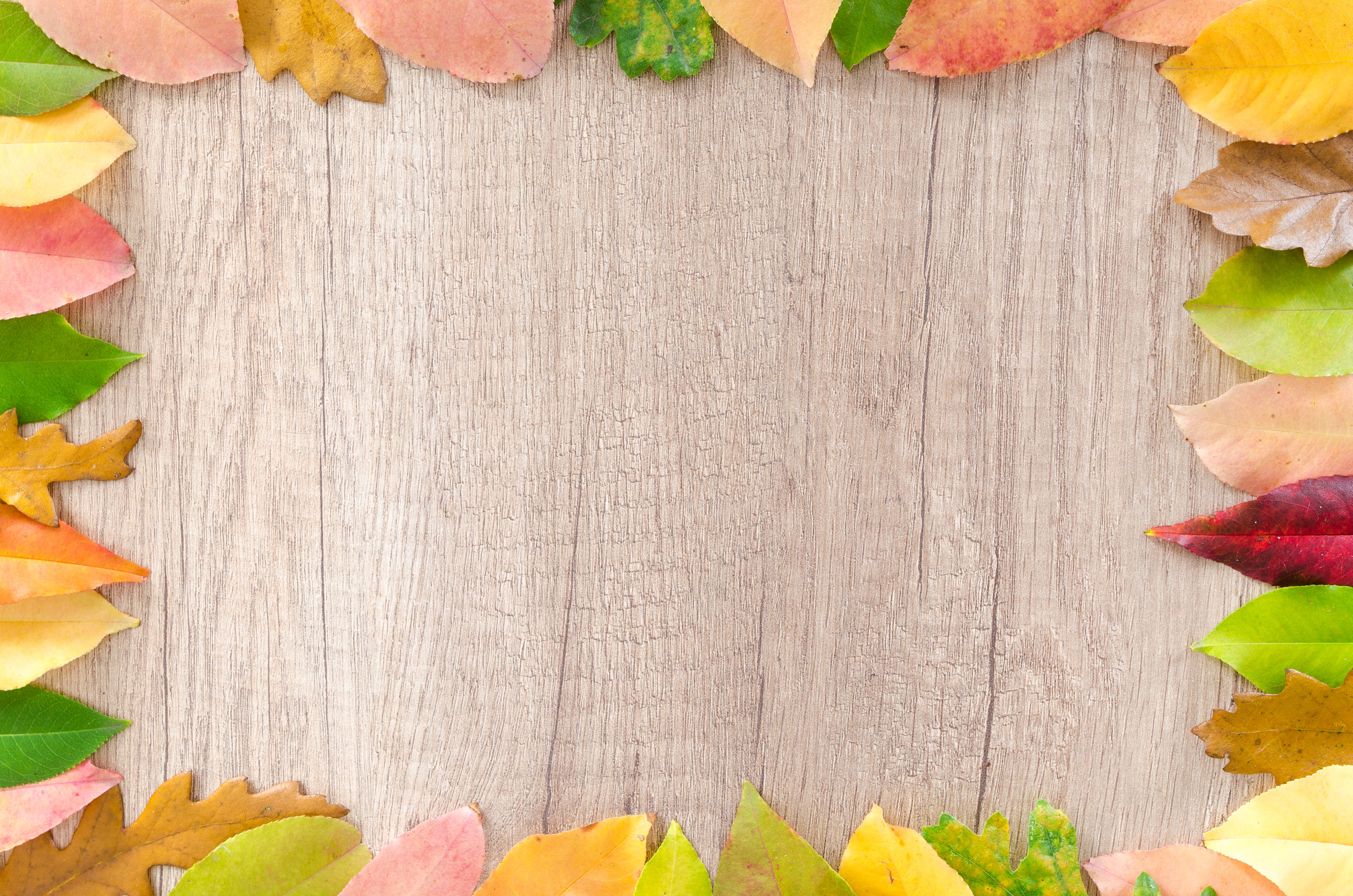 Assorted Leaves Piled on Border of Brown Wooden Board, background