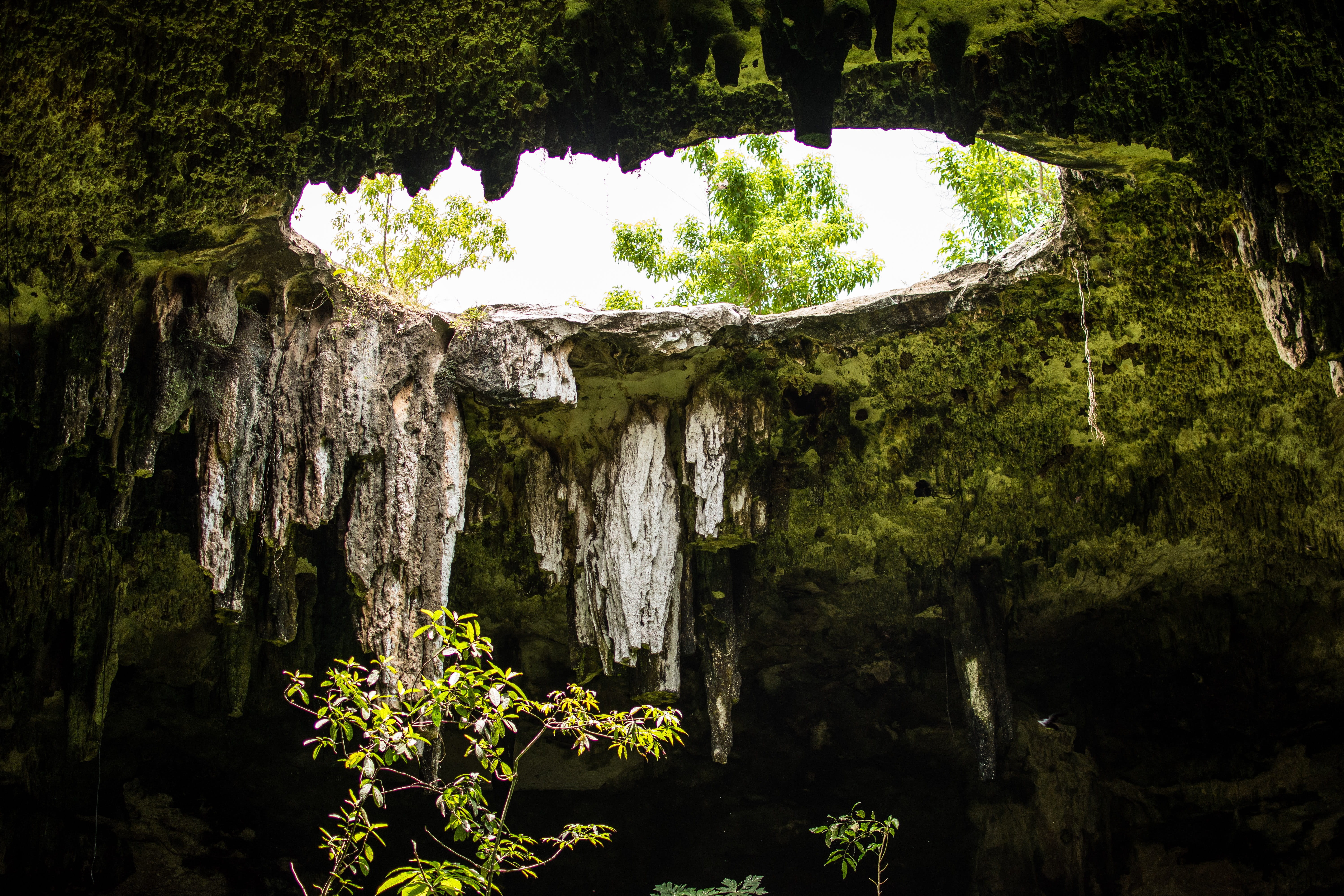 hole, cenote, cave, so, underground, yucatan, pierre, nature