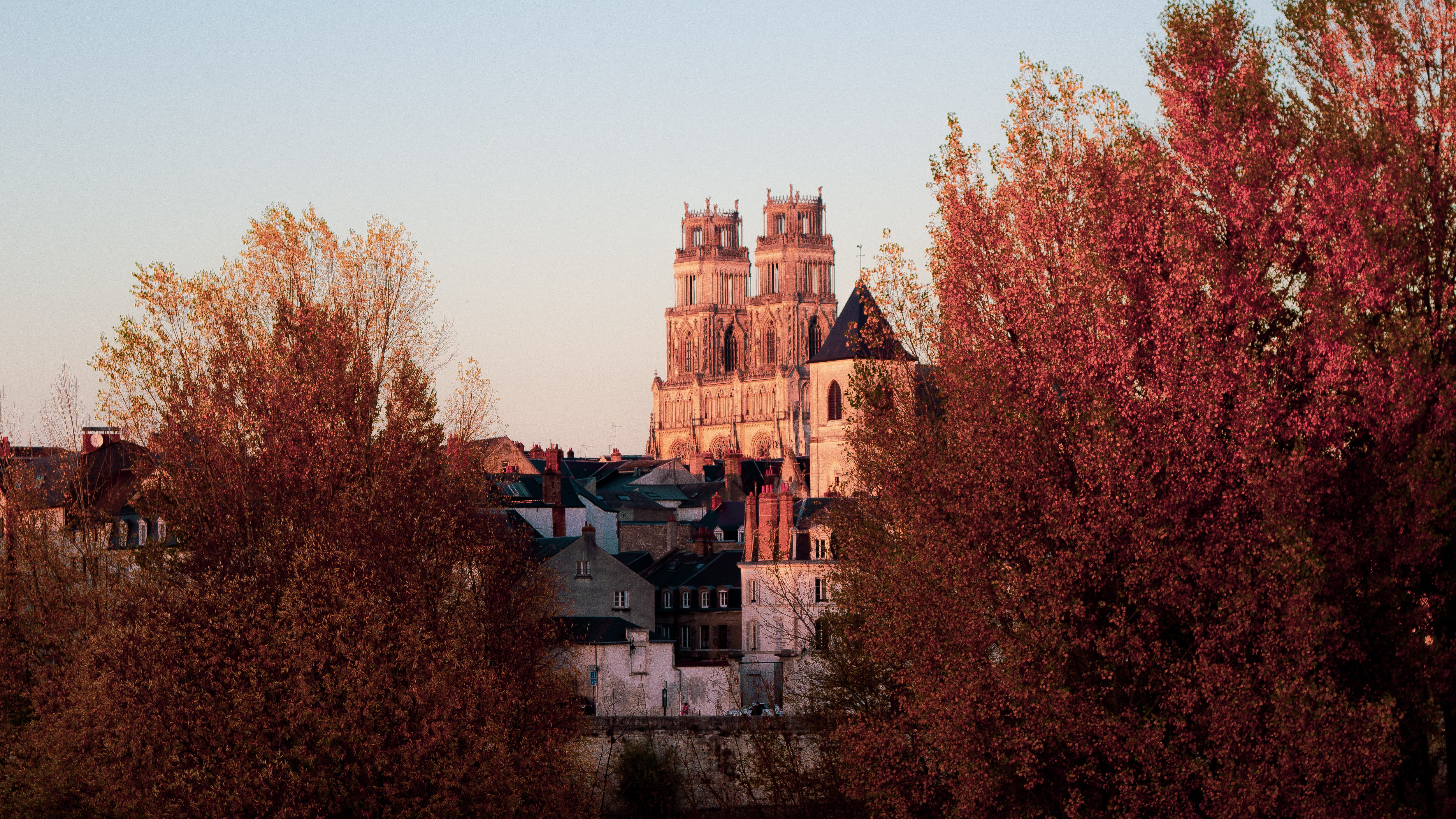 castle during daytime, tree, plant, building exterior, built structure
