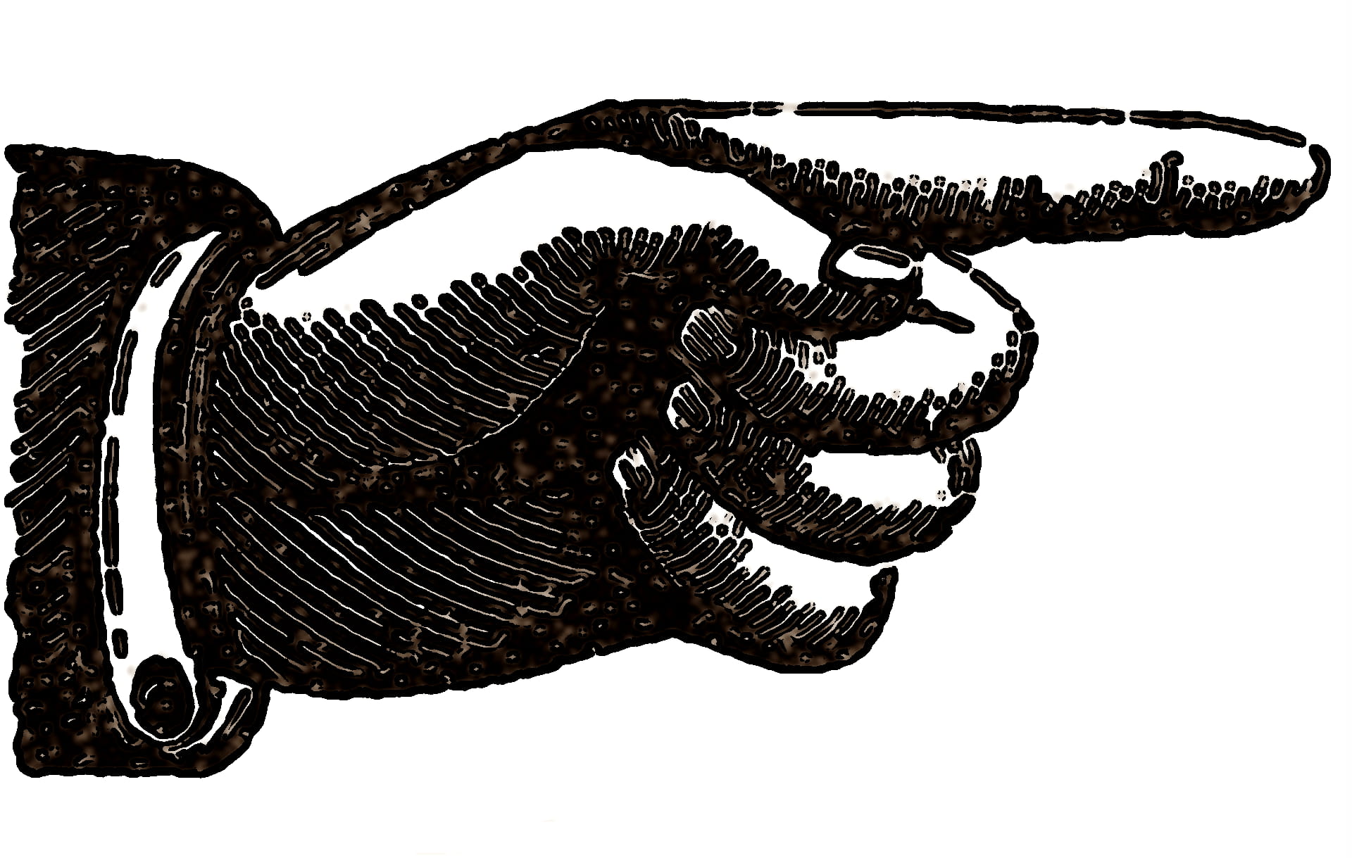 black, hand, human, activity, graphics, white background, studio shot
