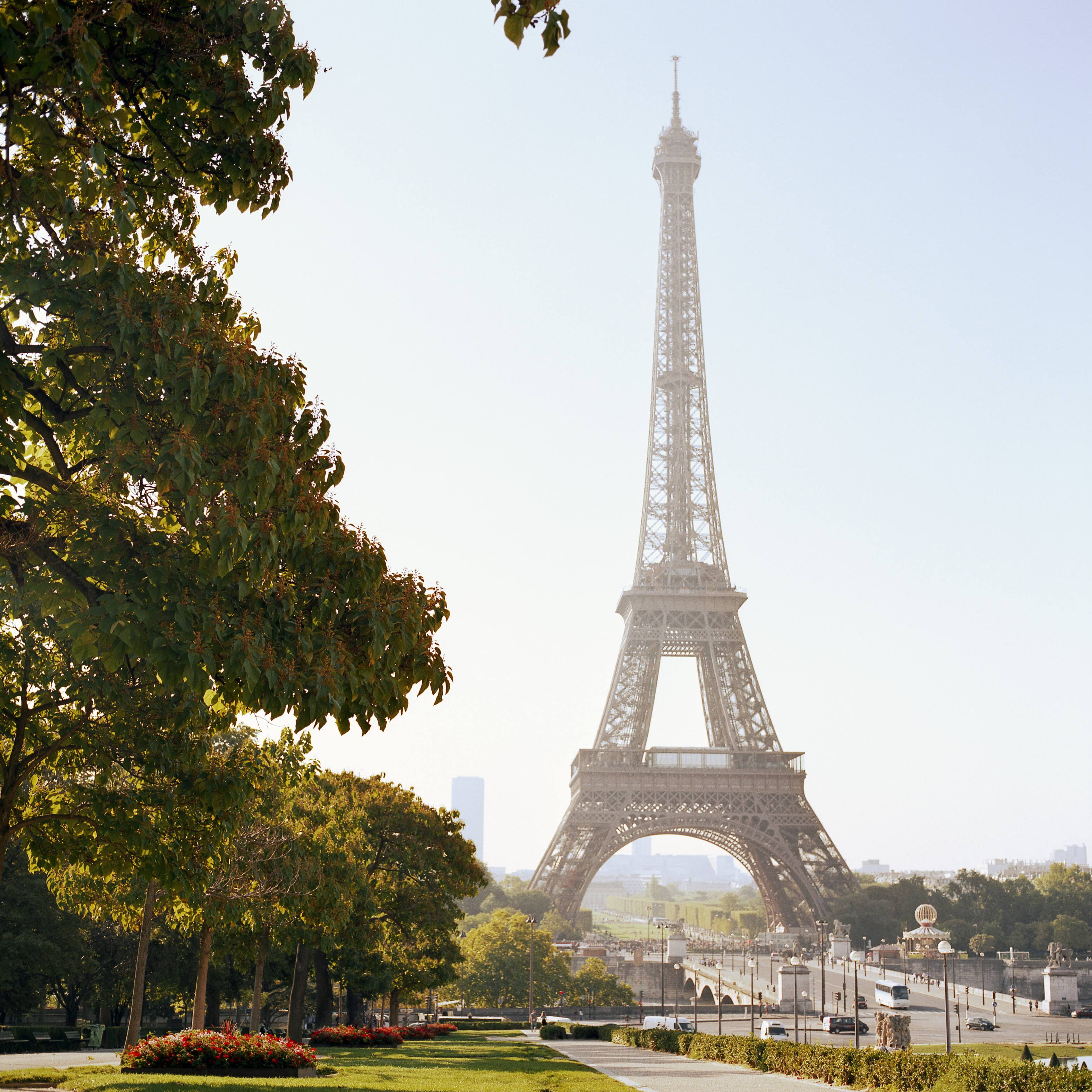 Eiffel Tower, Paris, architecture, built structure, tree, city