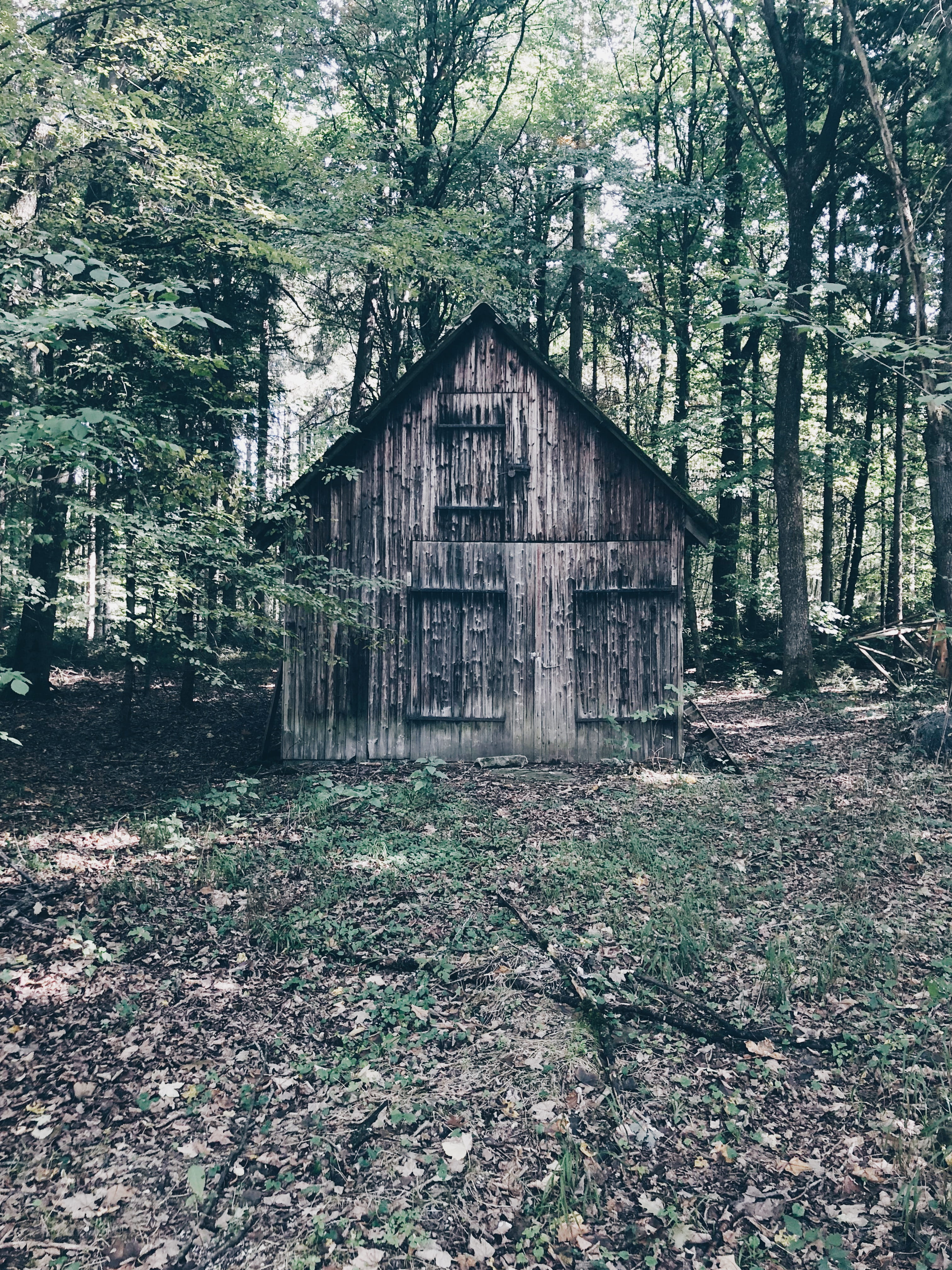 germany, staig, unnamed road, architecture, built structure