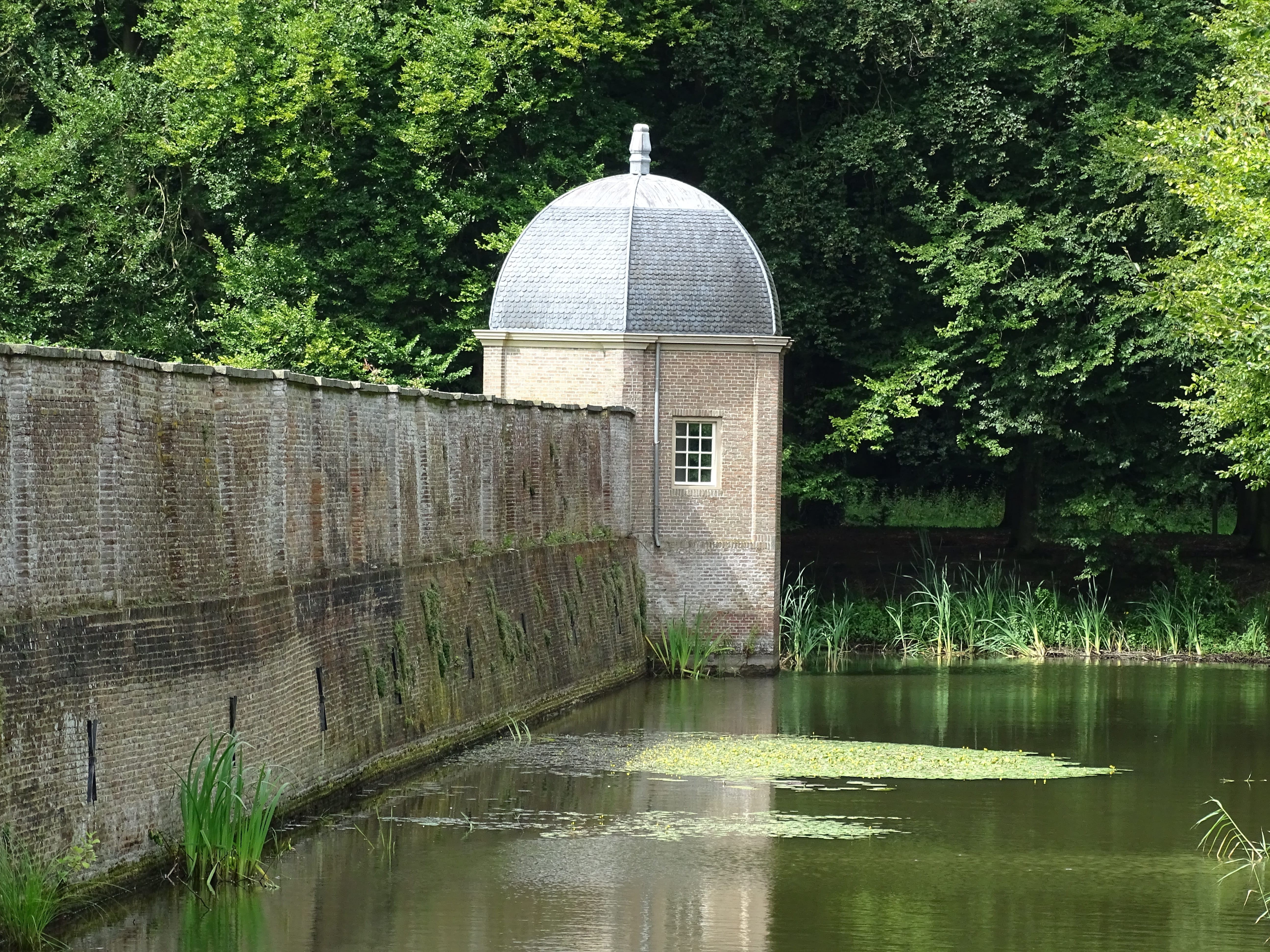 castle, wall, building, architecture, tower, plant, built structure