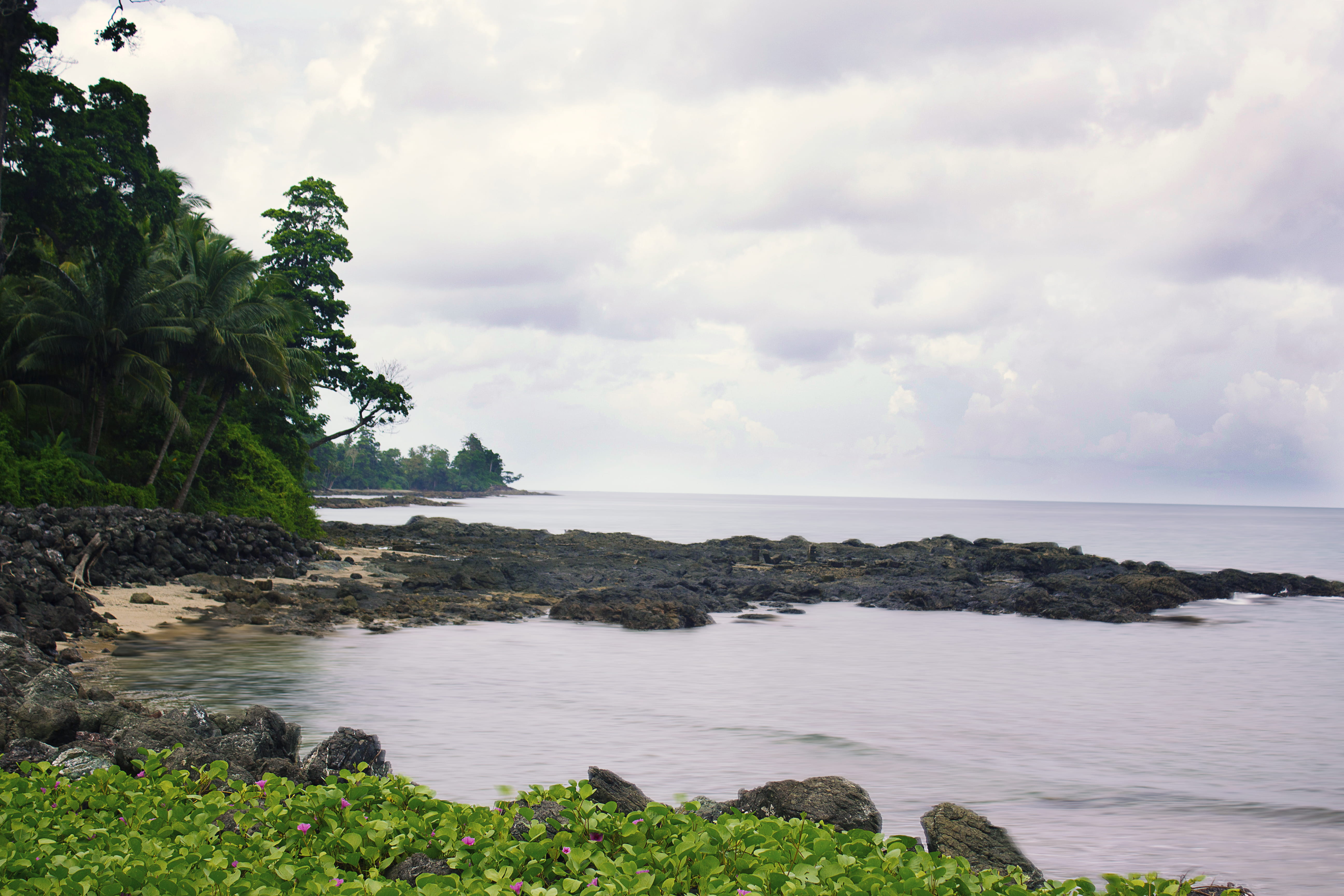beach, wave, clouds, cloudscape, trees, water, sky, cloud - sky