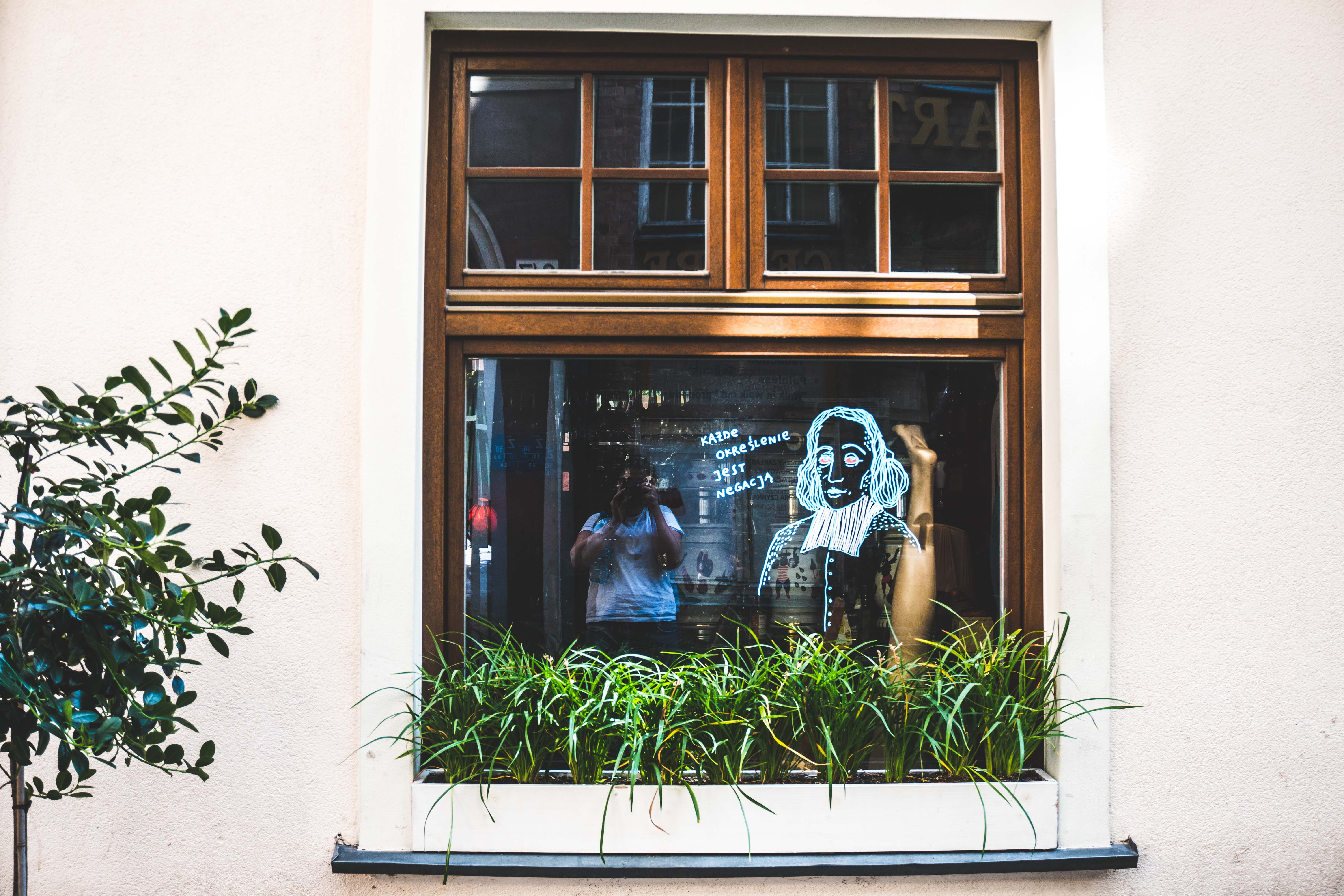 window, reflection, polish, quote, plant, architecture, built structure