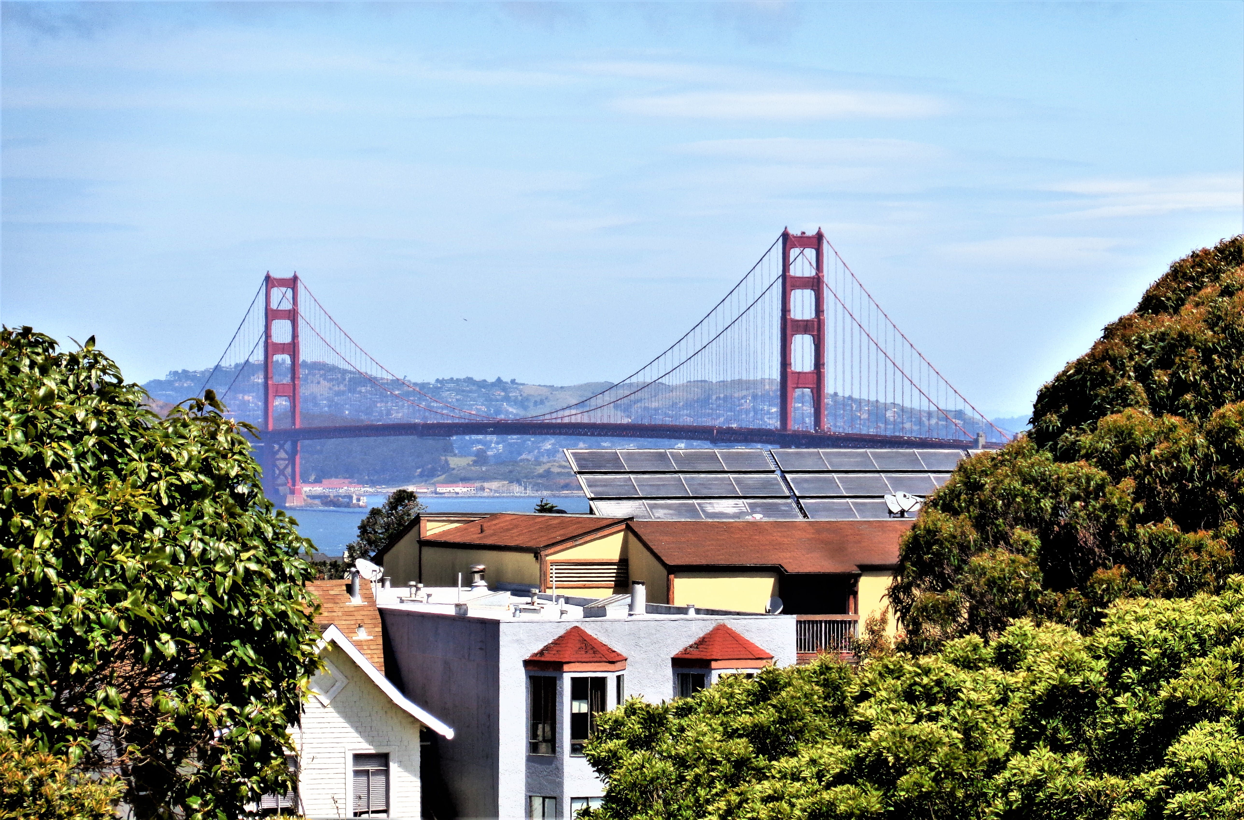 golden gate, built structure, architecture, plant, suspension bridge