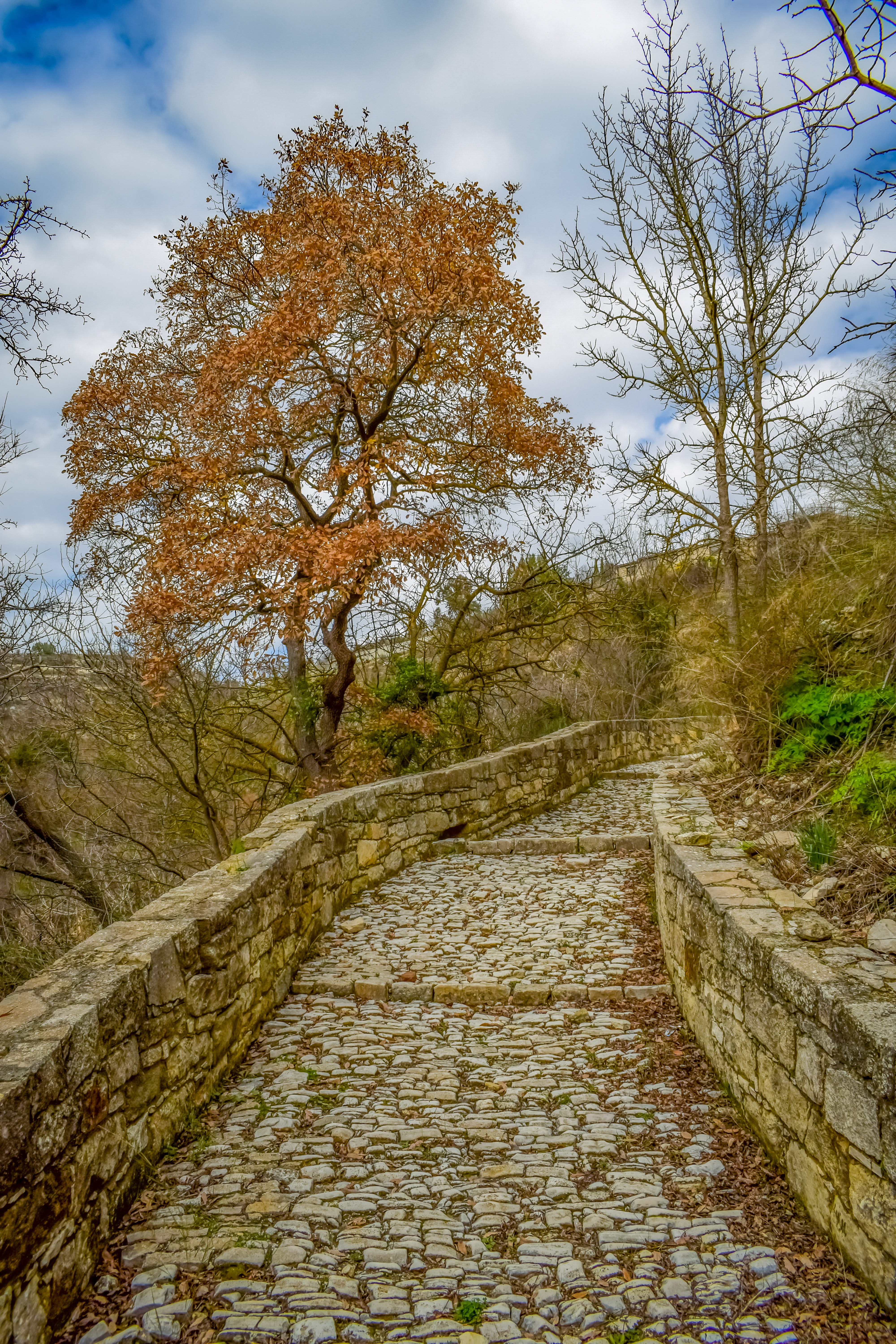 path, cobblestone, cobbled path, pathway, footpath, architecture