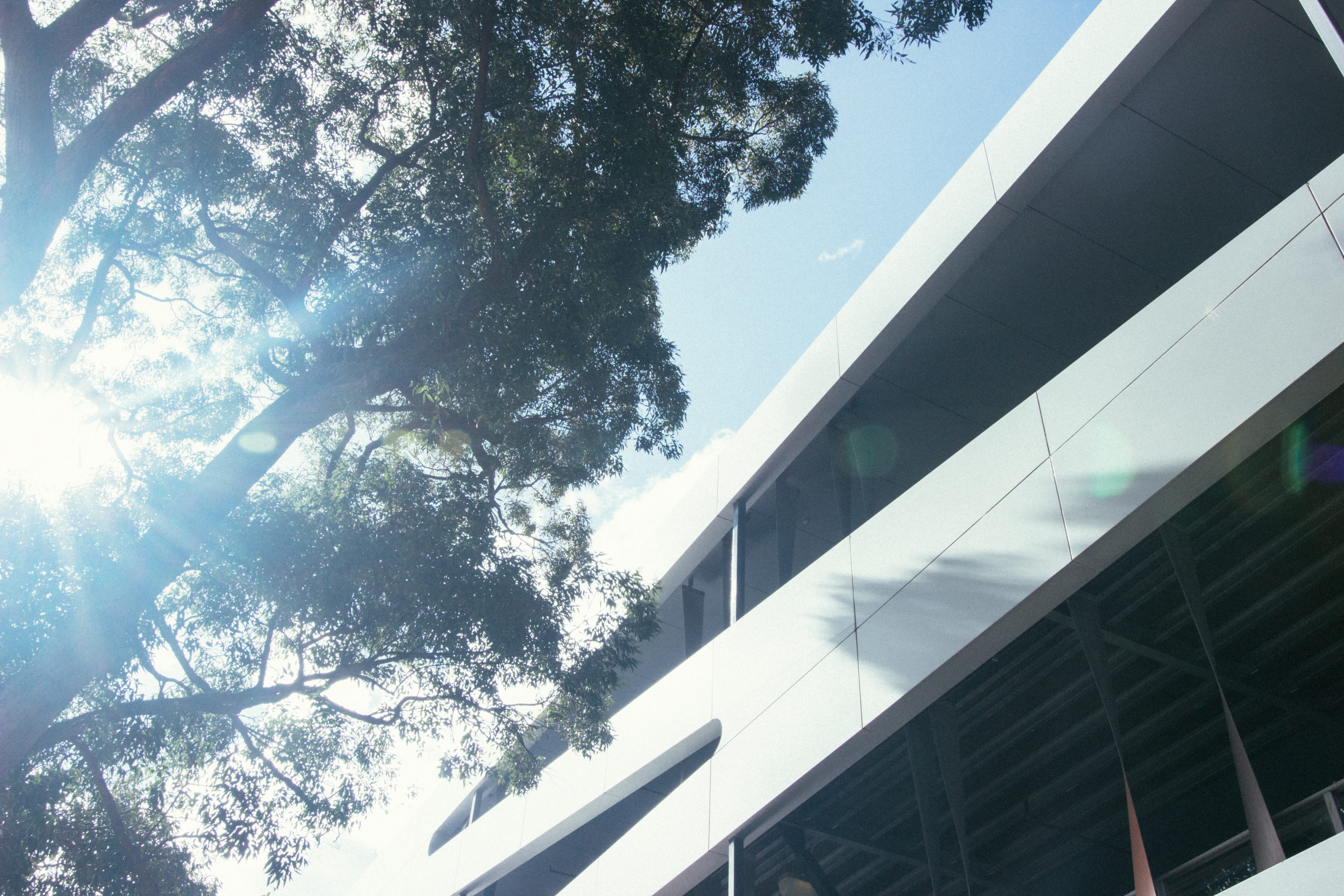 australia, waterloo, nature, future, buildings, tree, plant