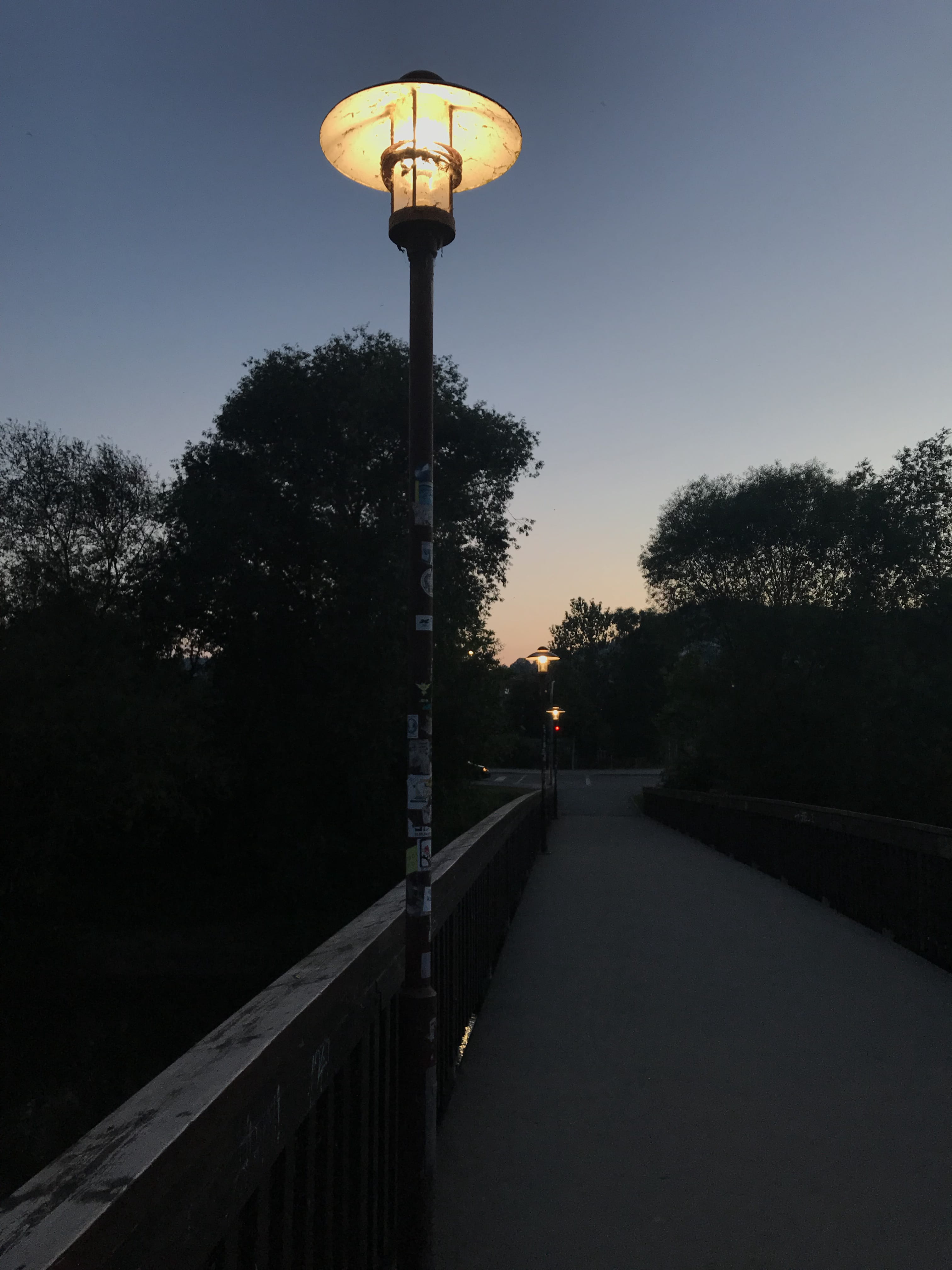 light, evening, tree, lighting equipment, illuminated, sky