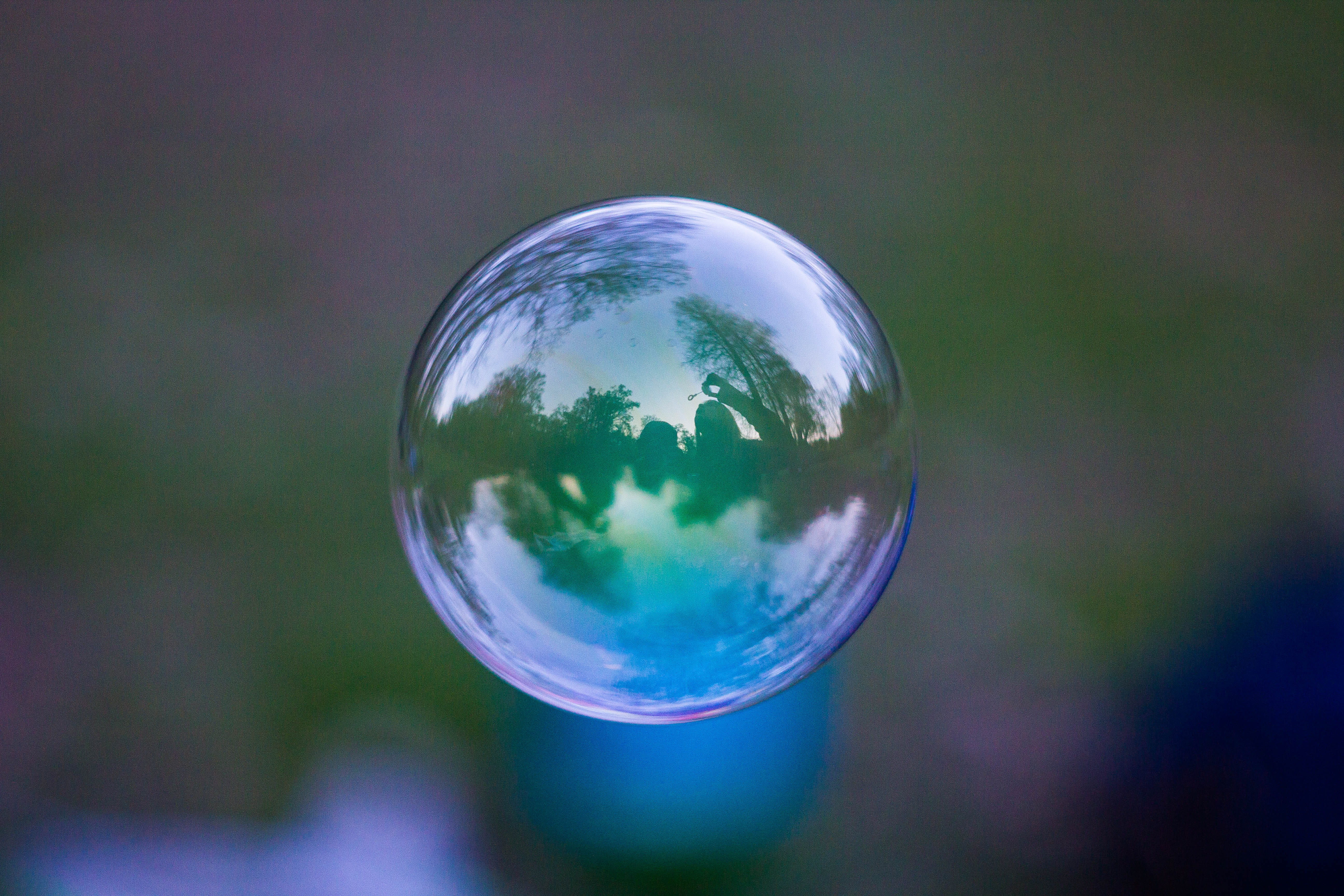 soap bubbles, park, nature, trees, picnic, sphere, reflection