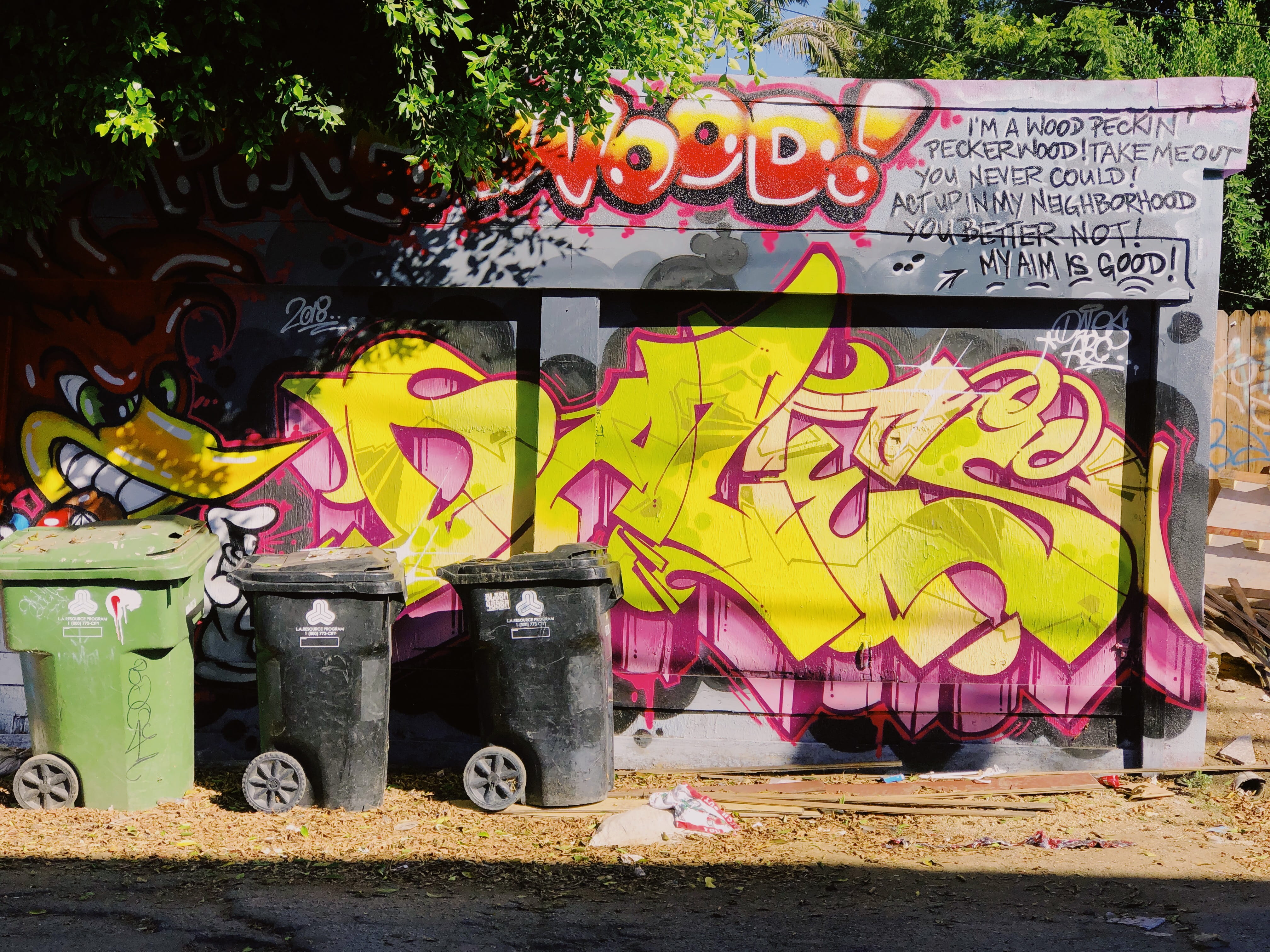 assorted-color mural on wall, graffiti, multi colored, text, creativity