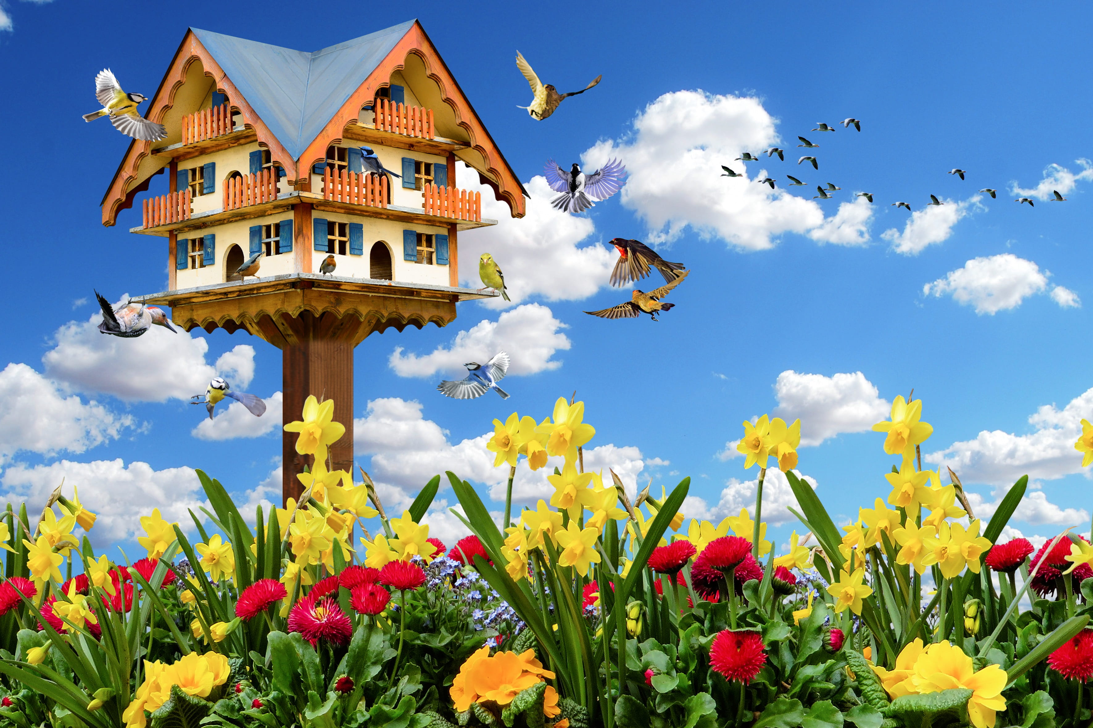 emotions, spring, nature, animals, birds, flowers, spring mood bird house